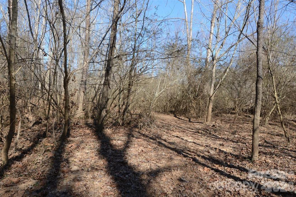 000 Rambling Creek Road #11 - Photo 5