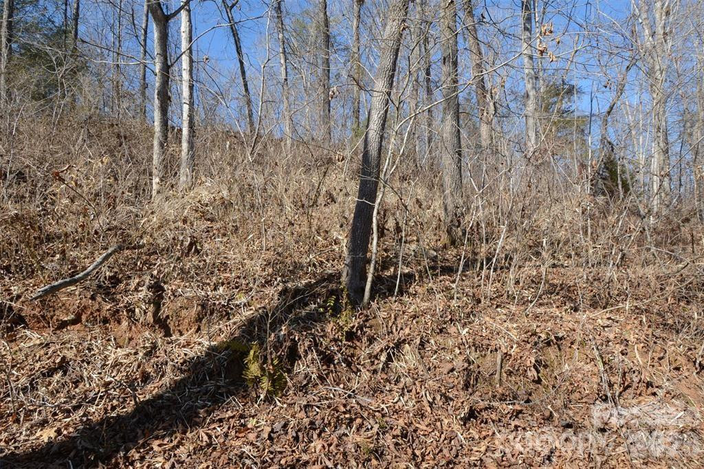 000 Rambling Creek Road #11 - Photo 6