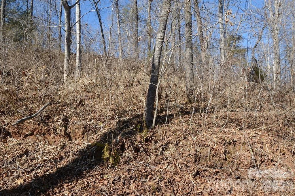 000 Rambling Creek Road #11 - Photo 6