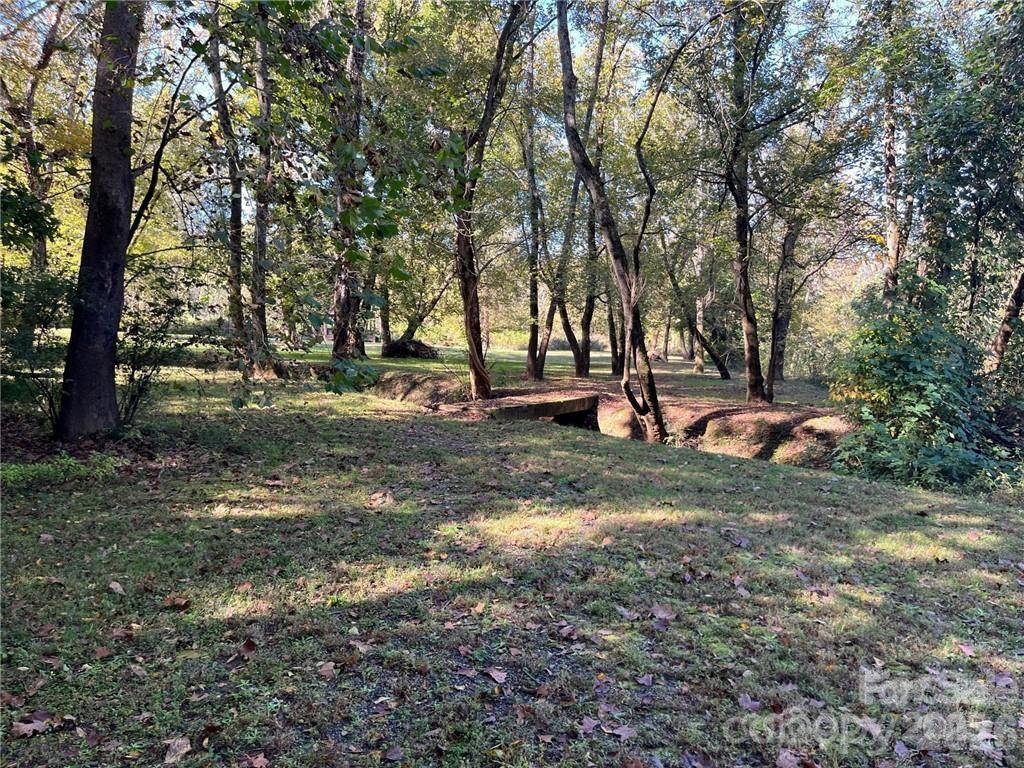 000 Rambling Creek Road #11 - Photo 7