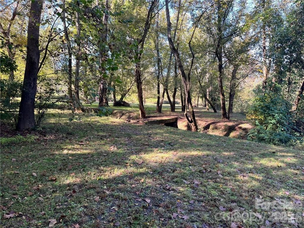 000 Rambling Creek Road #11 - Photo 7