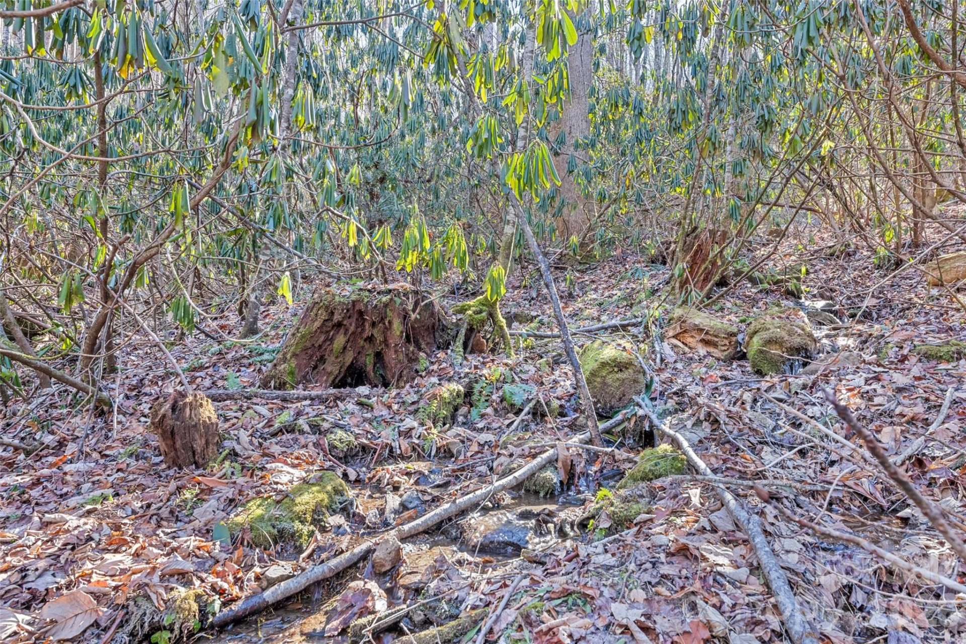 831 Forest Run Road - Photo 31