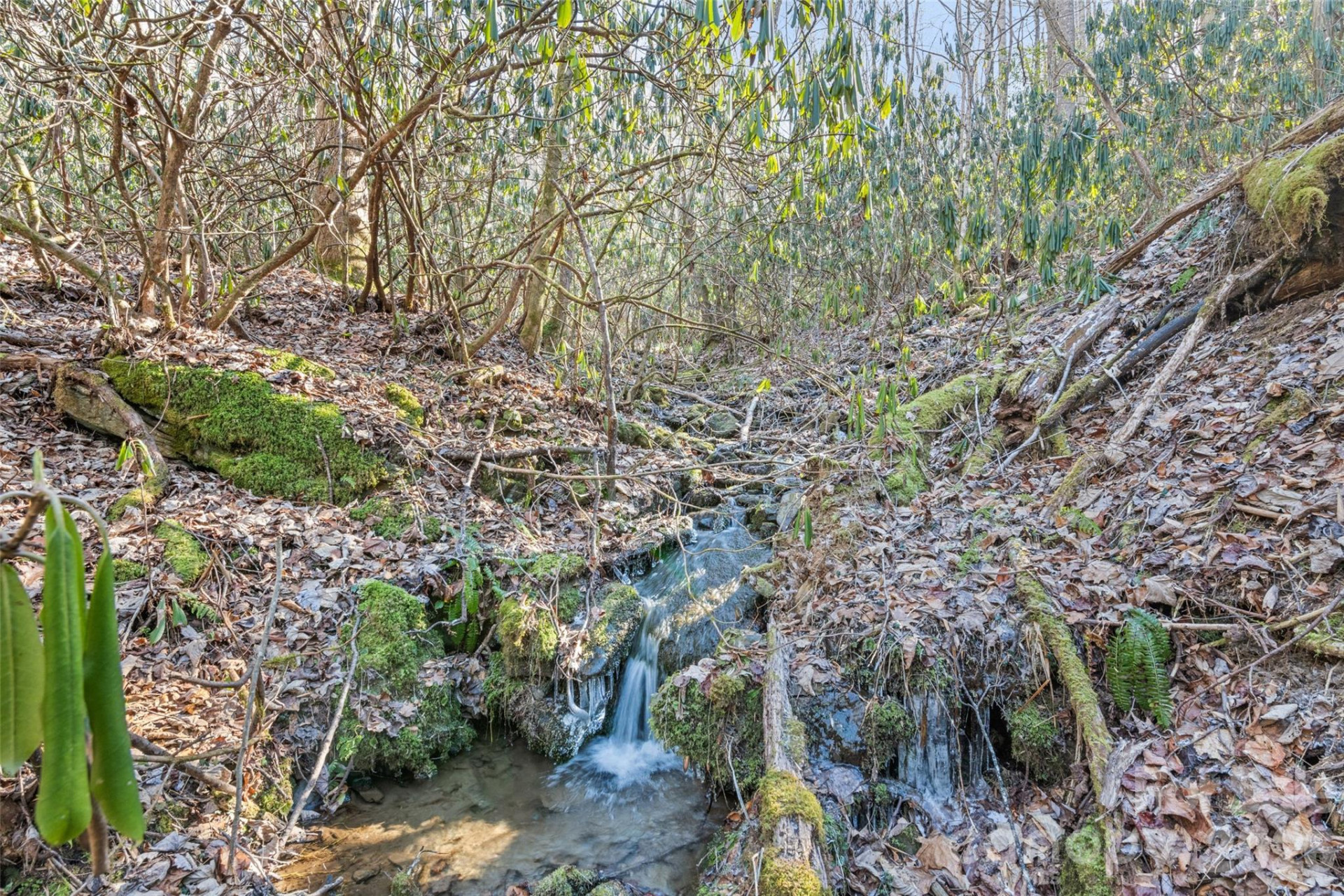 831 Forest Run Road - Photo 33