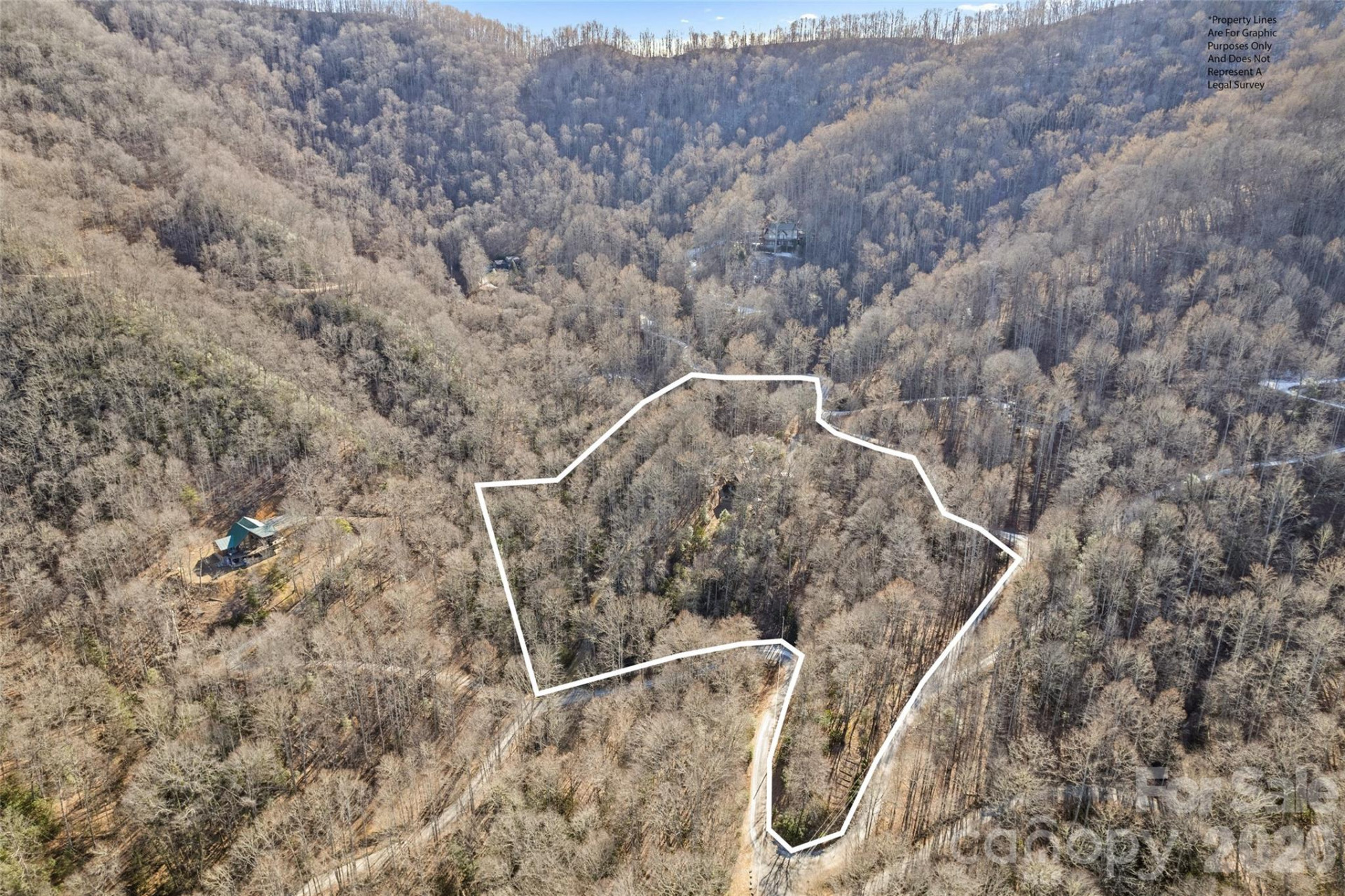 831 Forest Run Road - Photo 36