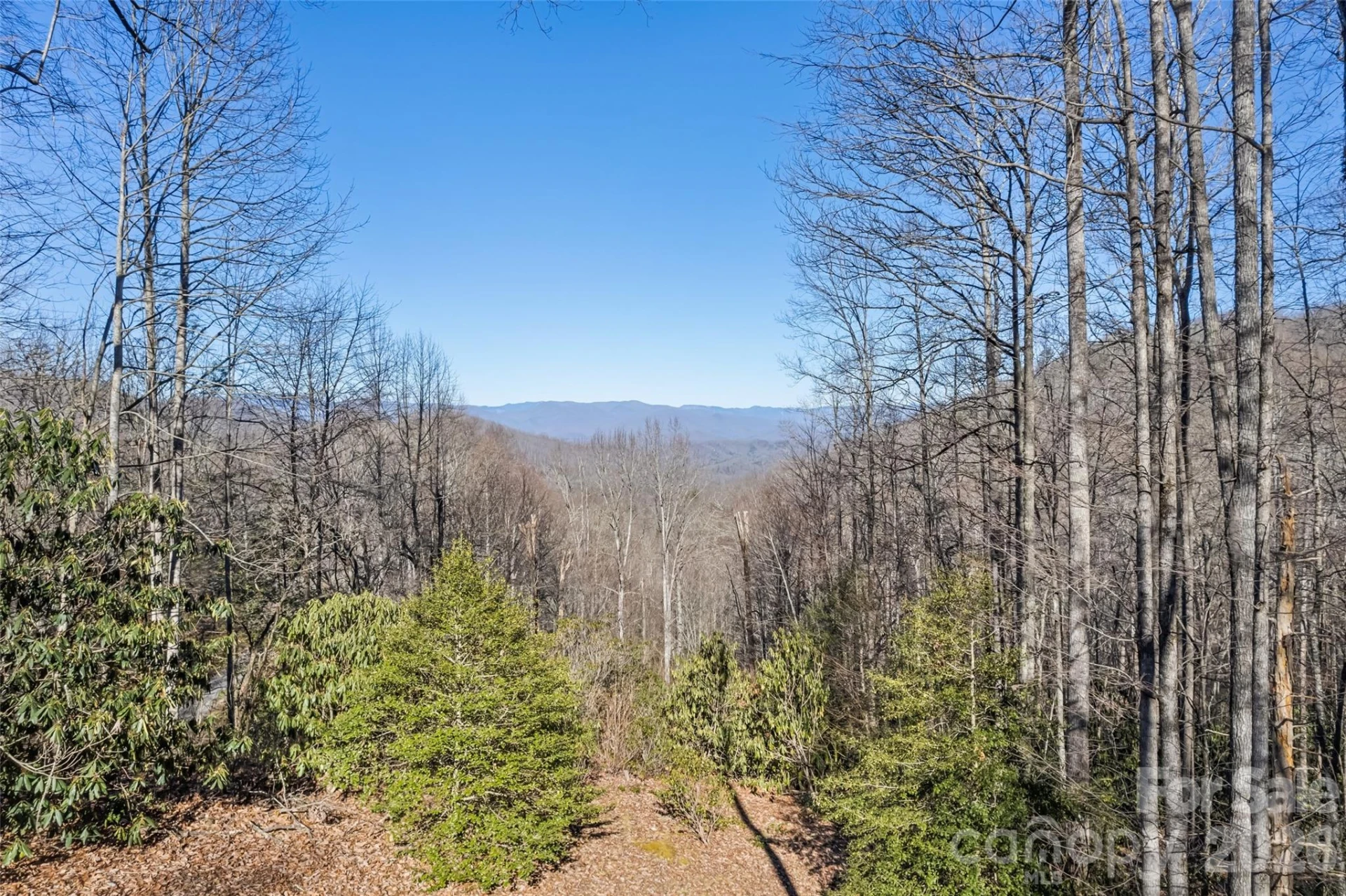 831 Forest Run Road - Photo 7
