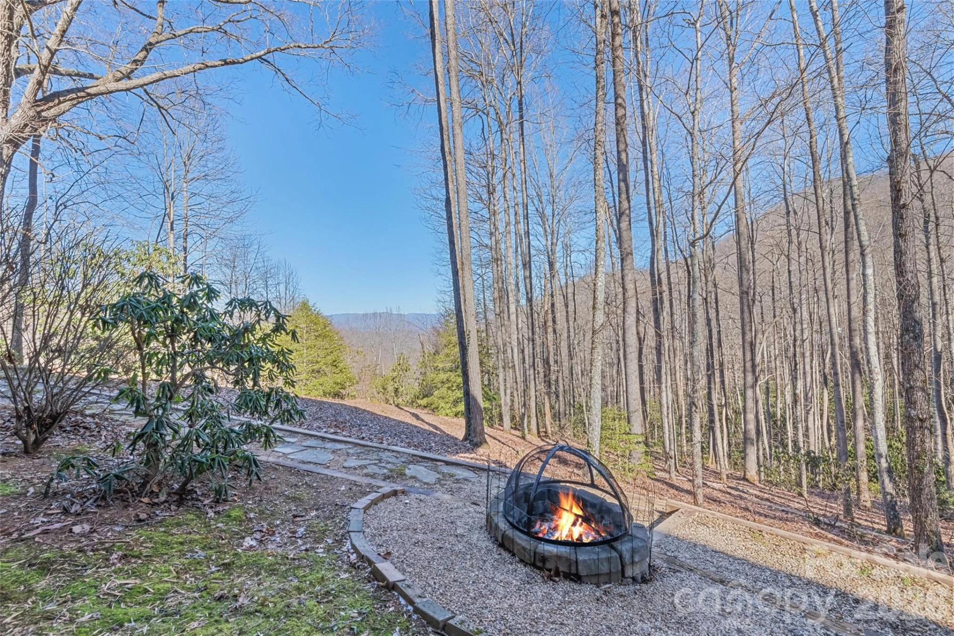 831 Forest Run Road - Photo 8
