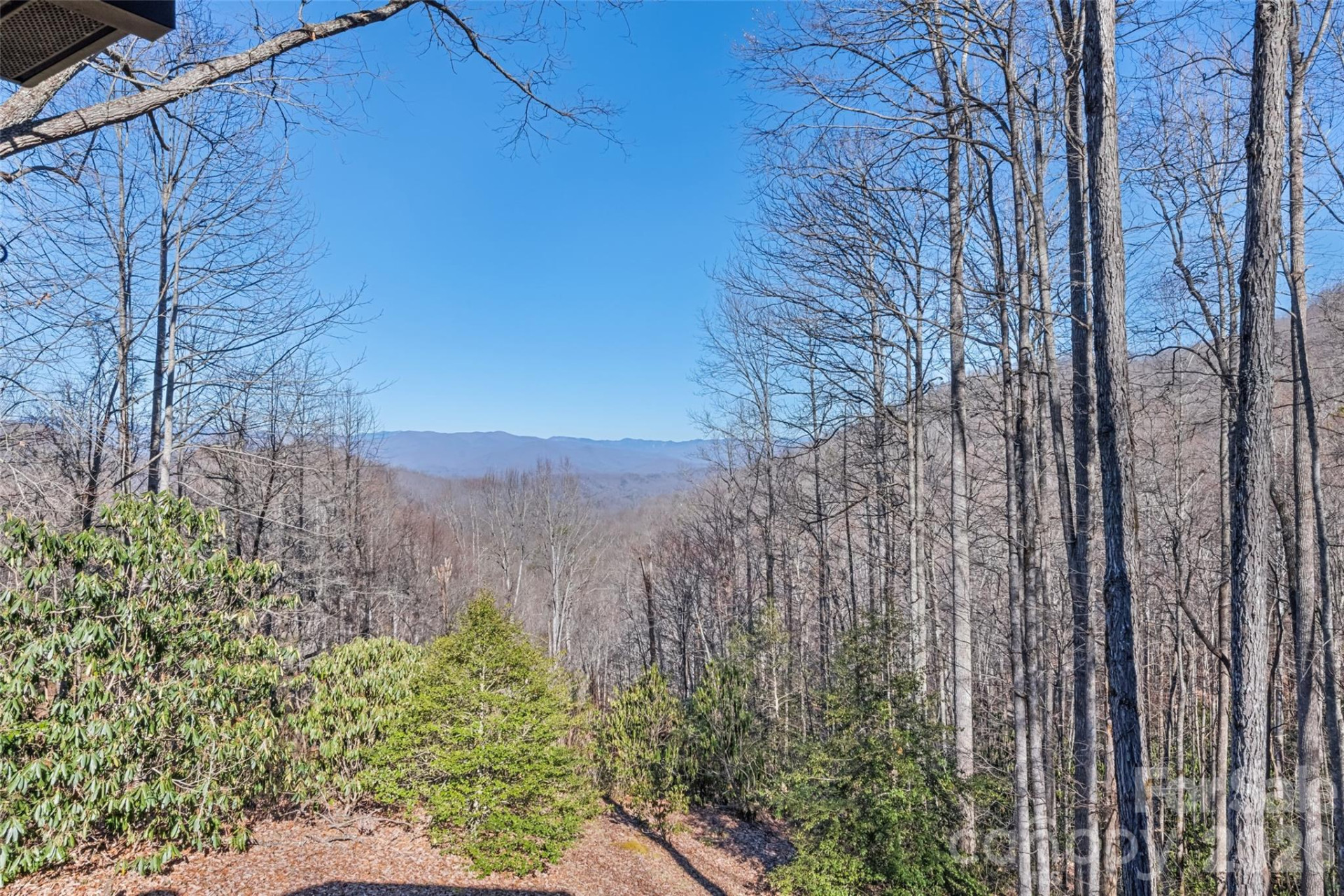 831 Forest Run Road - Photo 9