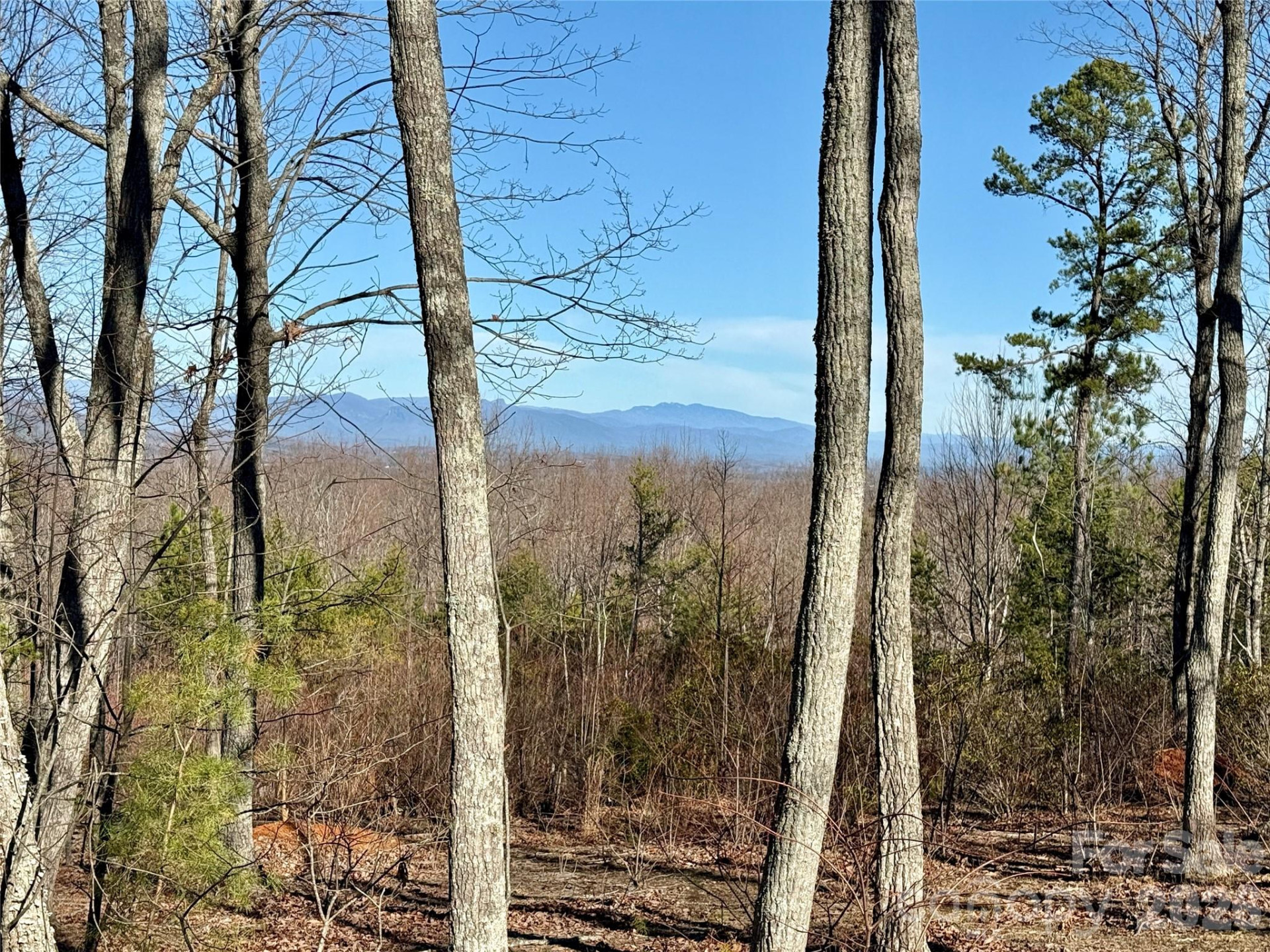 149 Mossy Oak Trail #166/167 - Photo 11