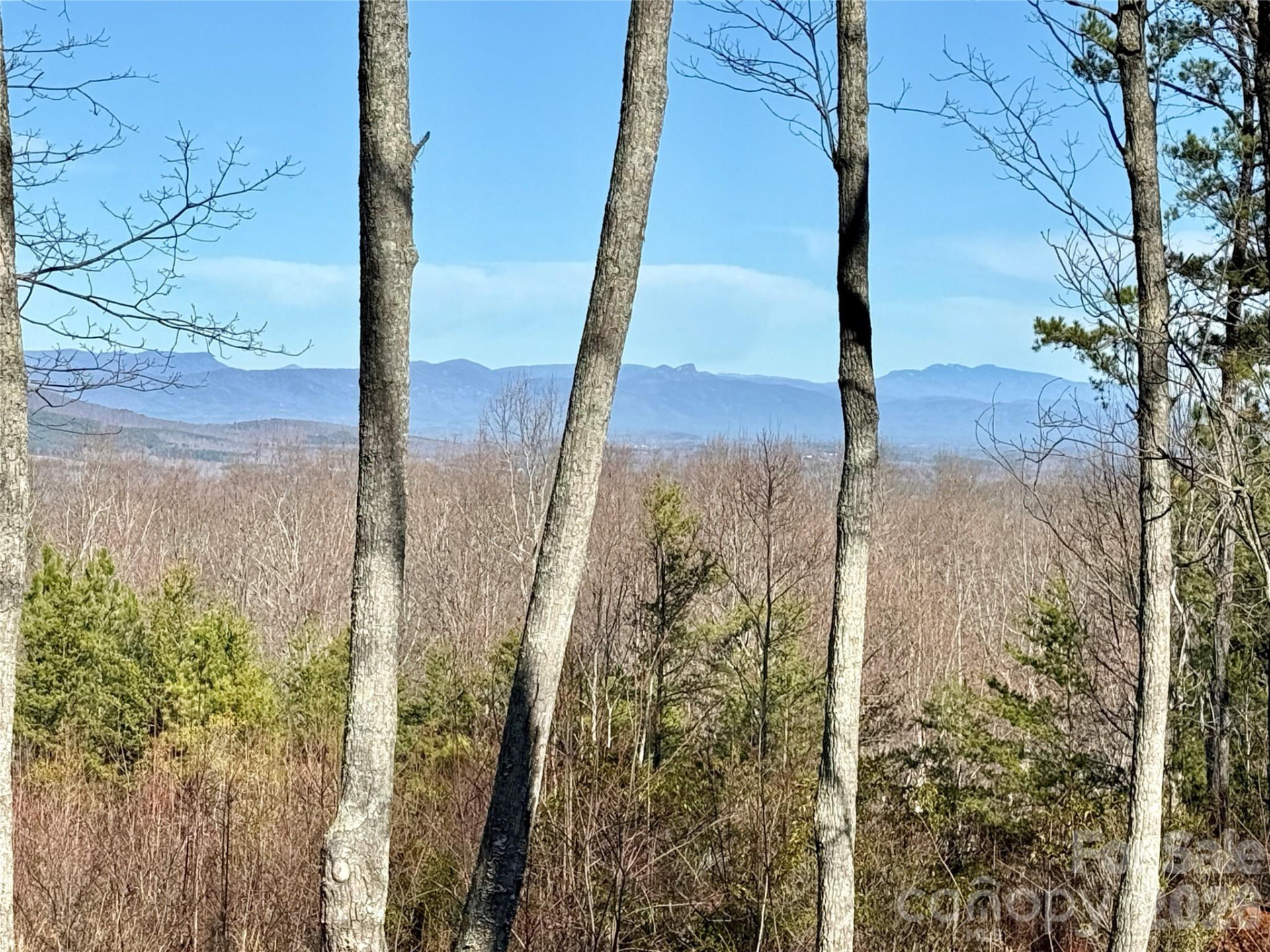 149 Mossy Oak Trail #166/167 - Photo 12