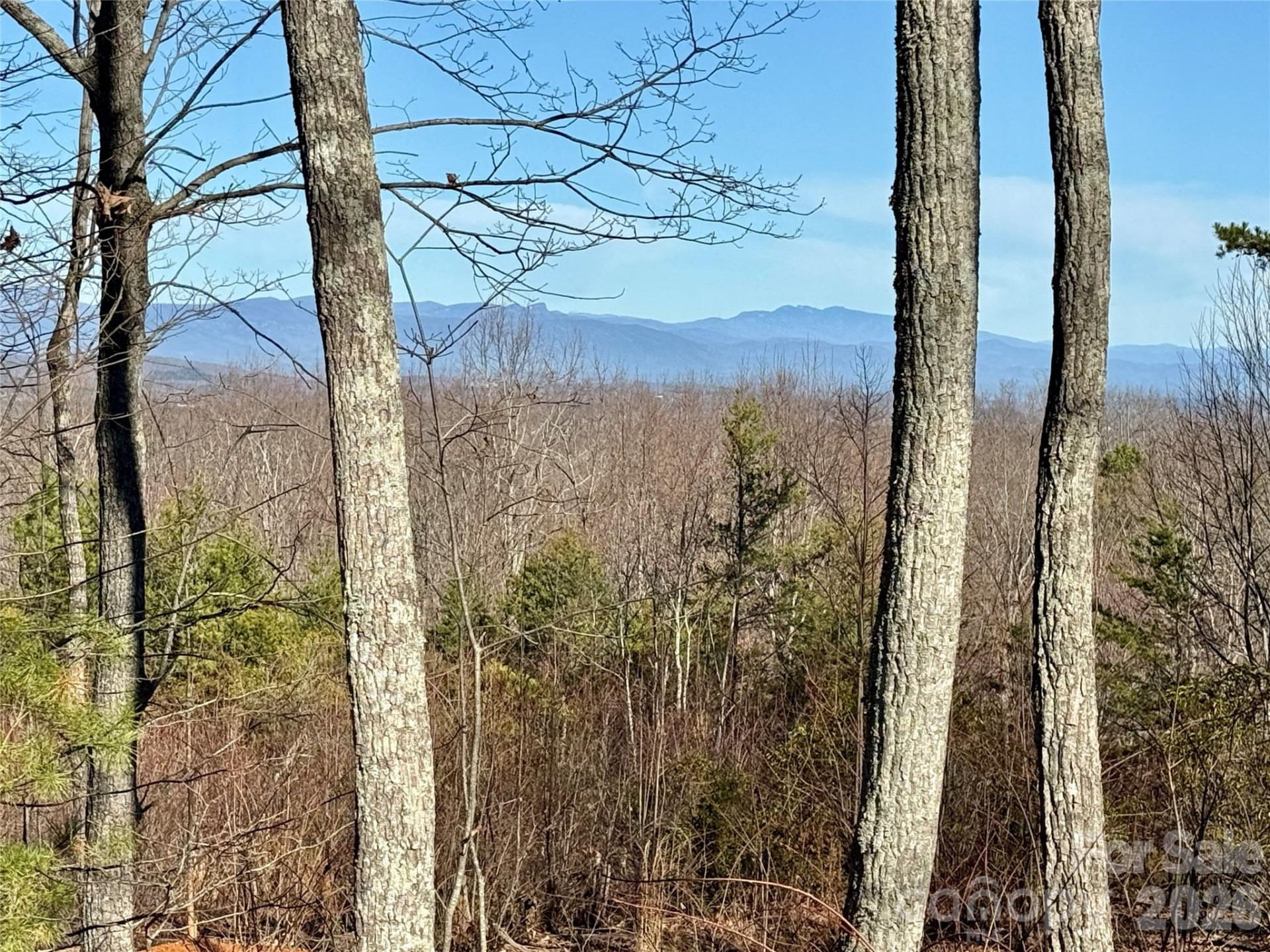 149 Mossy Oak Trail #166/167 - Photo 13