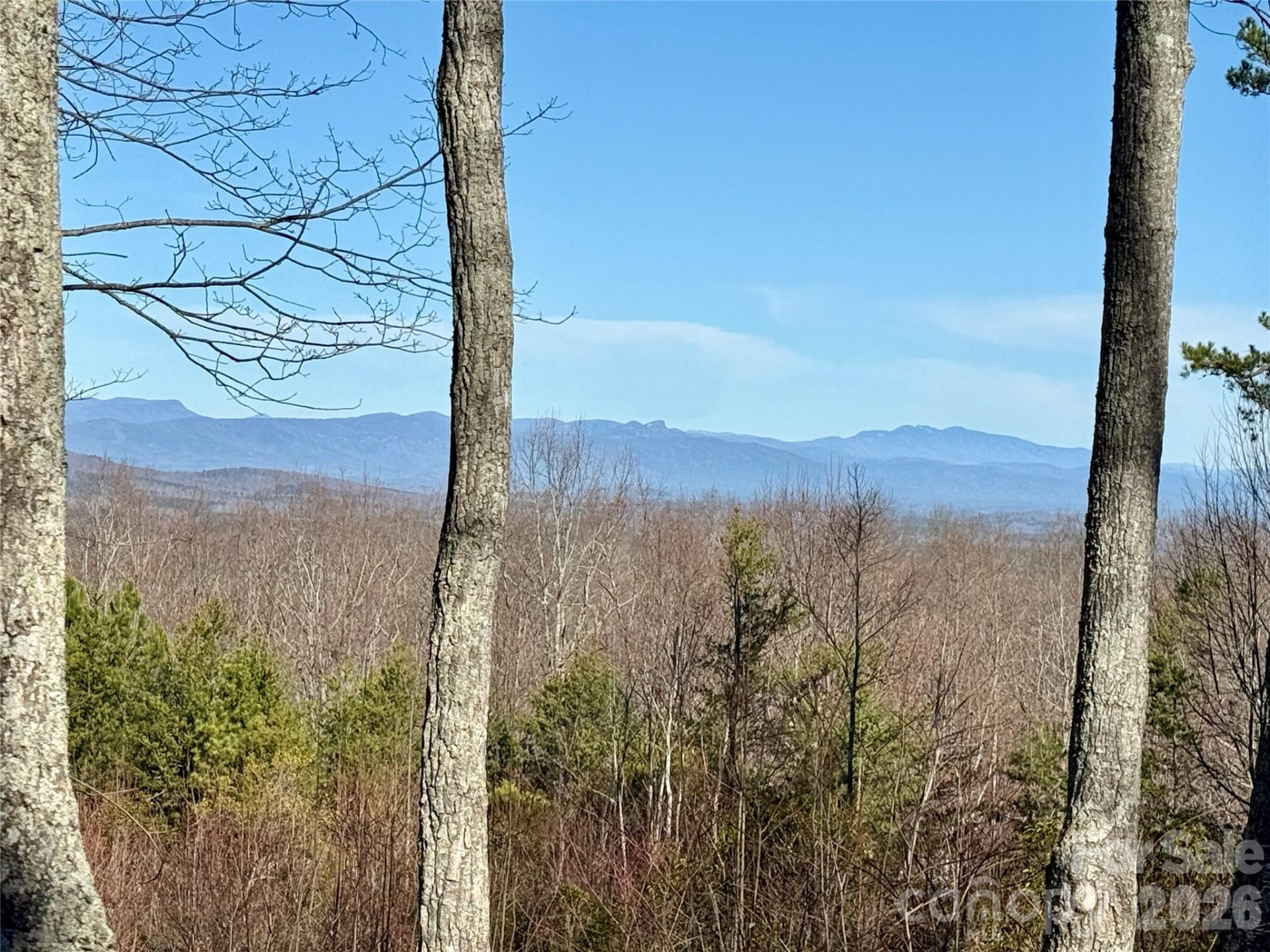 149 Mossy Oak Trail #166/167 - Photo 14