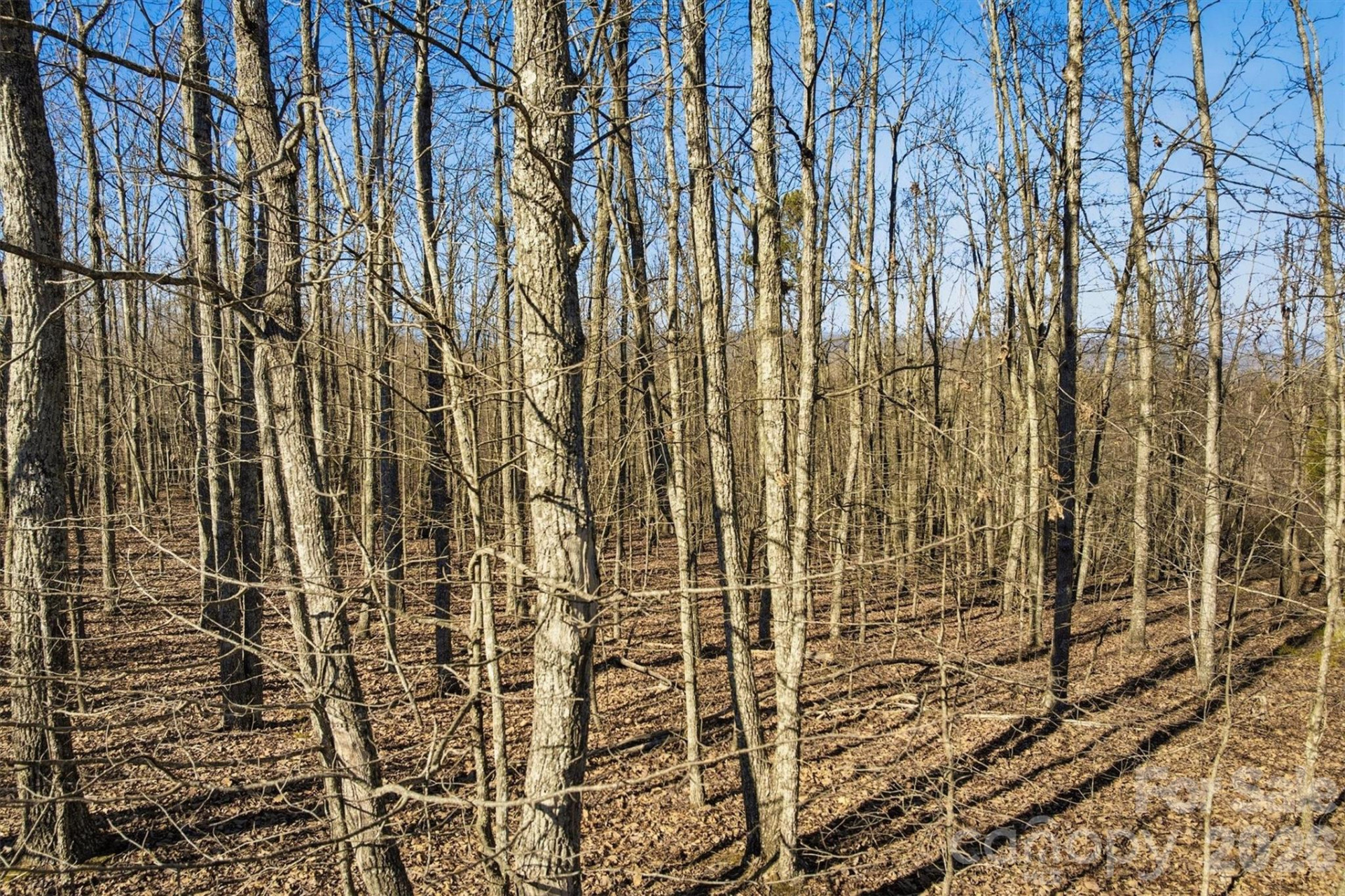 149 Mossy Oak Trail #166/167 - Photo 15