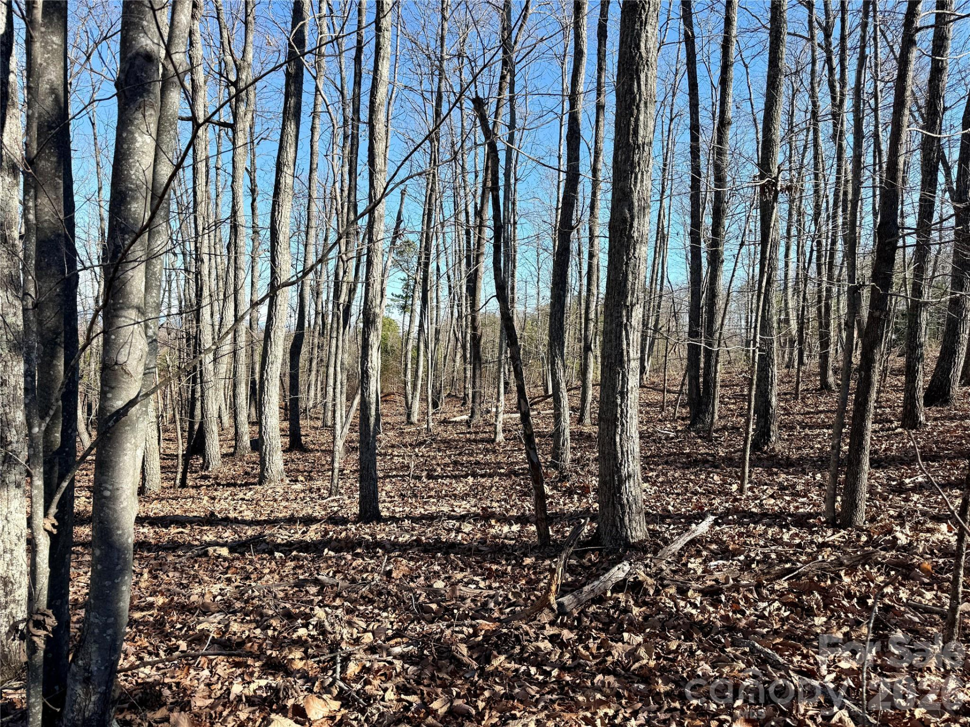 149 Mossy Oak Trail #166/167 - Photo 16