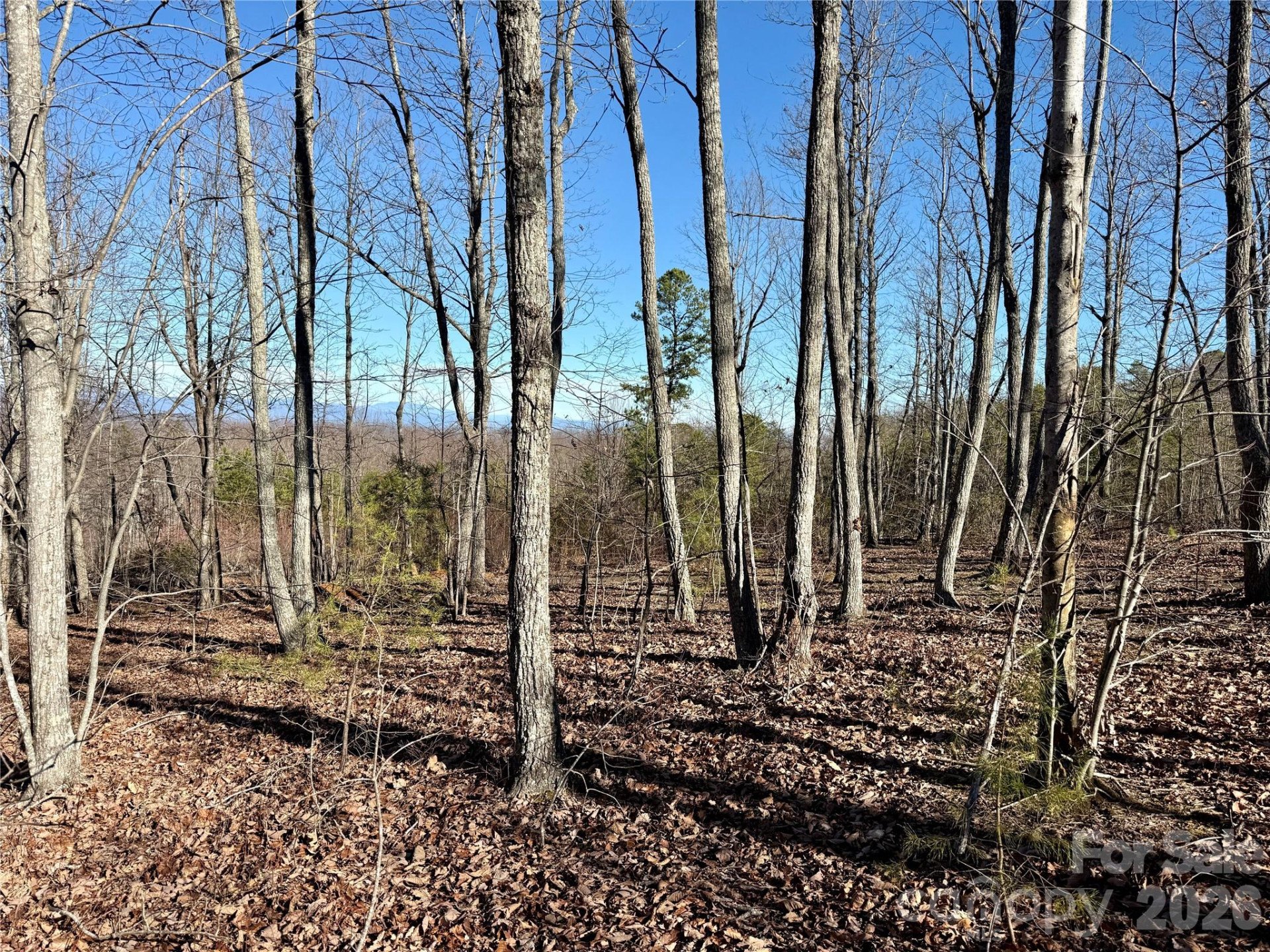 149 Mossy Oak Trail #166/167 - Photo 17