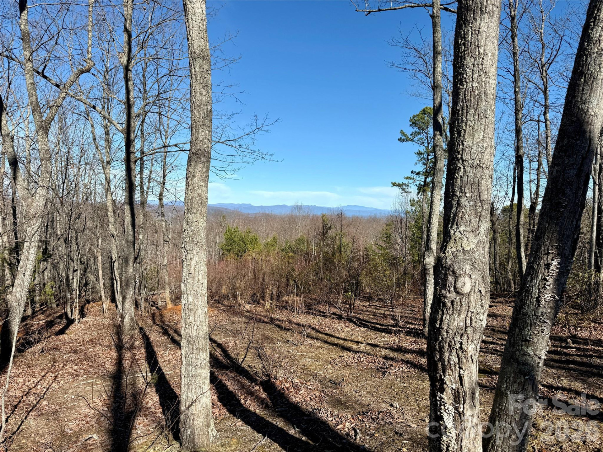 149 Mossy Oak Trail #166/167 - Photo 18