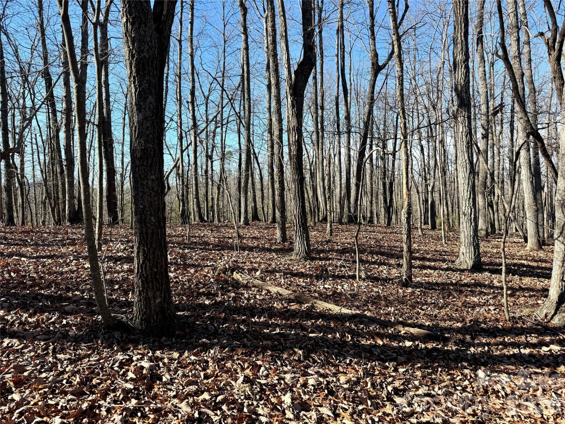 149 Mossy Oak Trail #166/167 - Photo 19