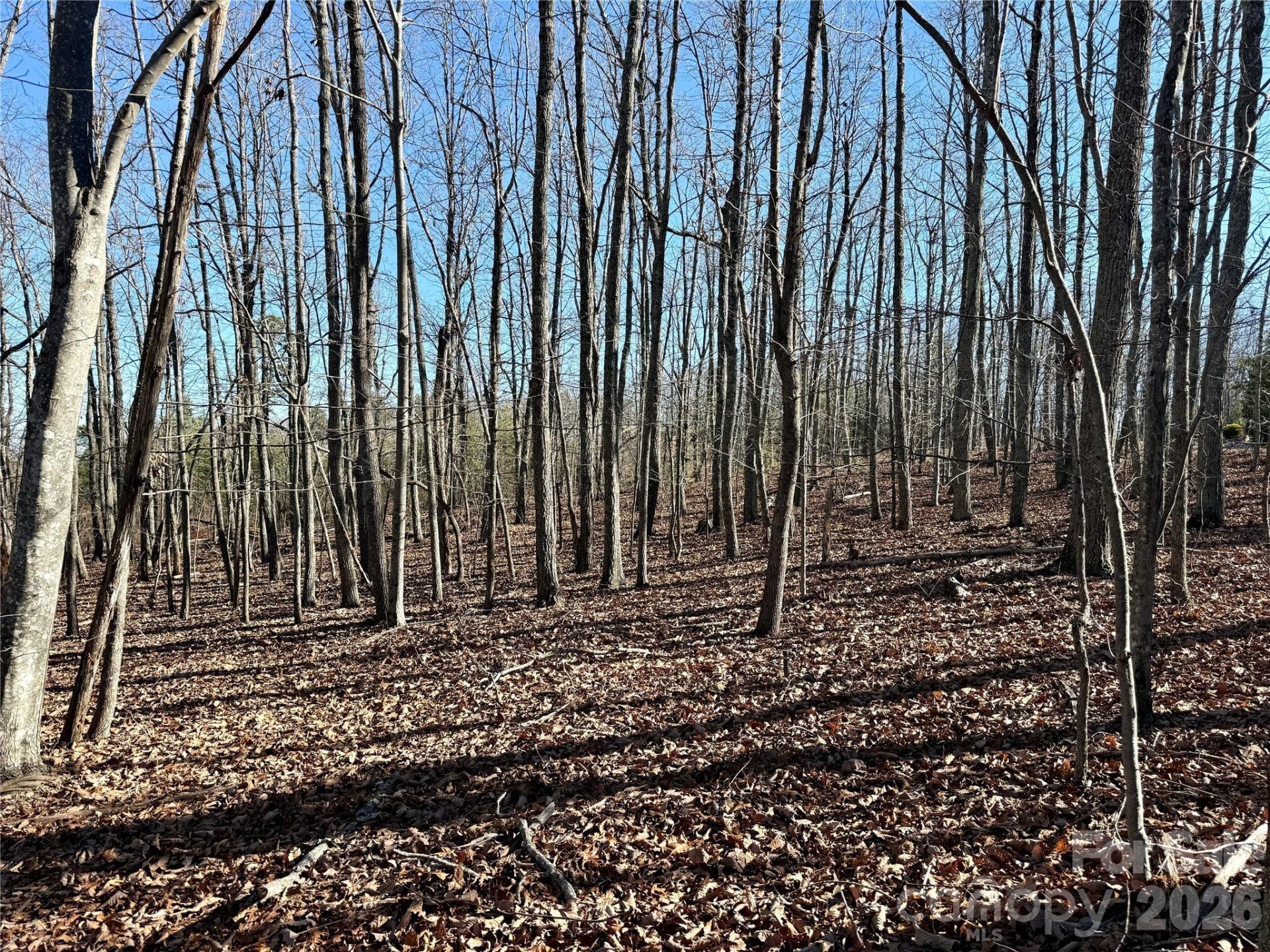 149 Mossy Oak Trail #166/167 - Photo 20