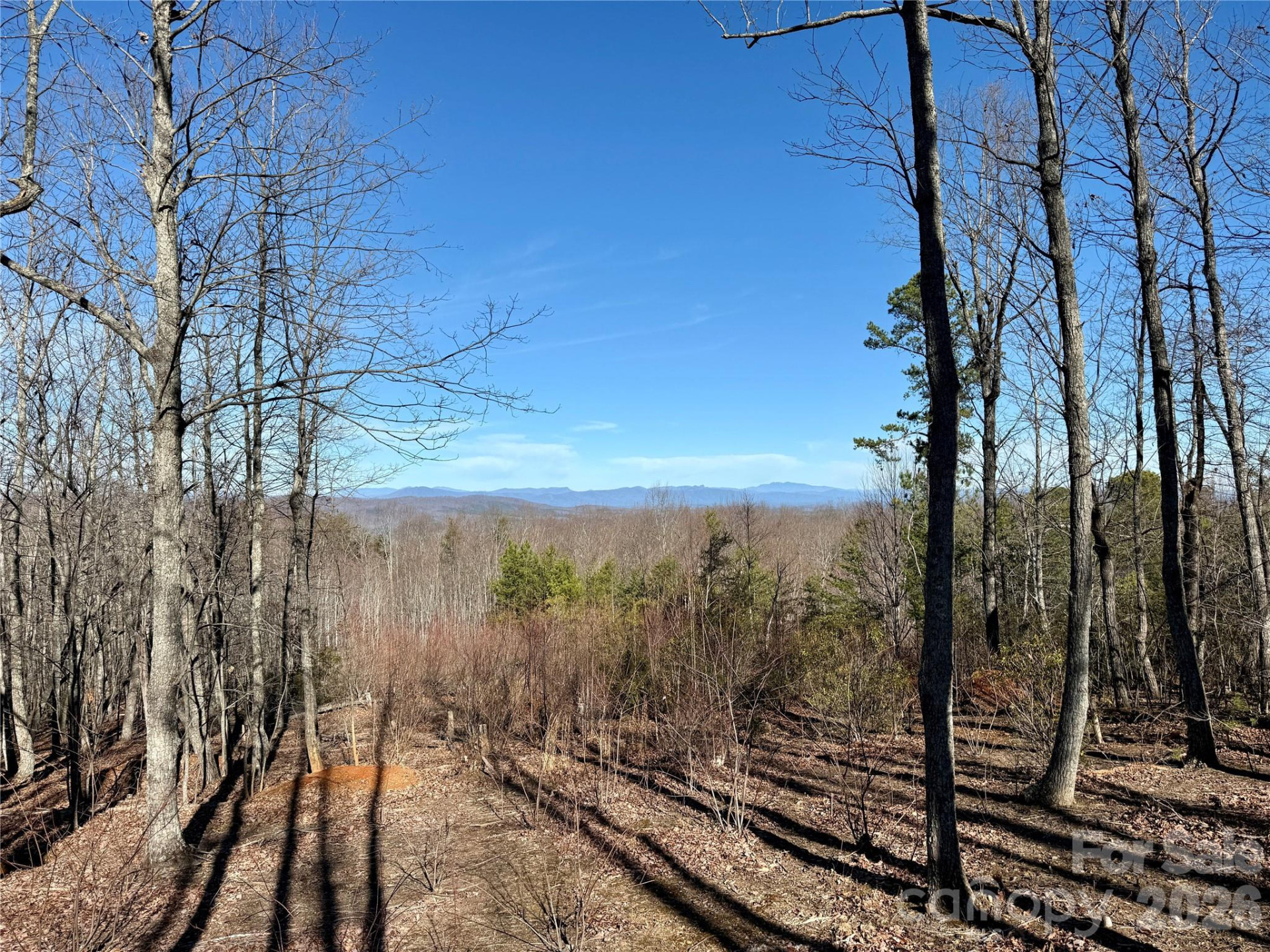 149 Mossy Oak Trail #166/167 - Photo 21