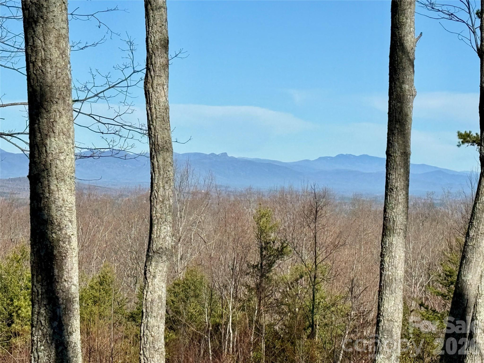 149 Mossy Oak Trail #166/167 - Photo 22