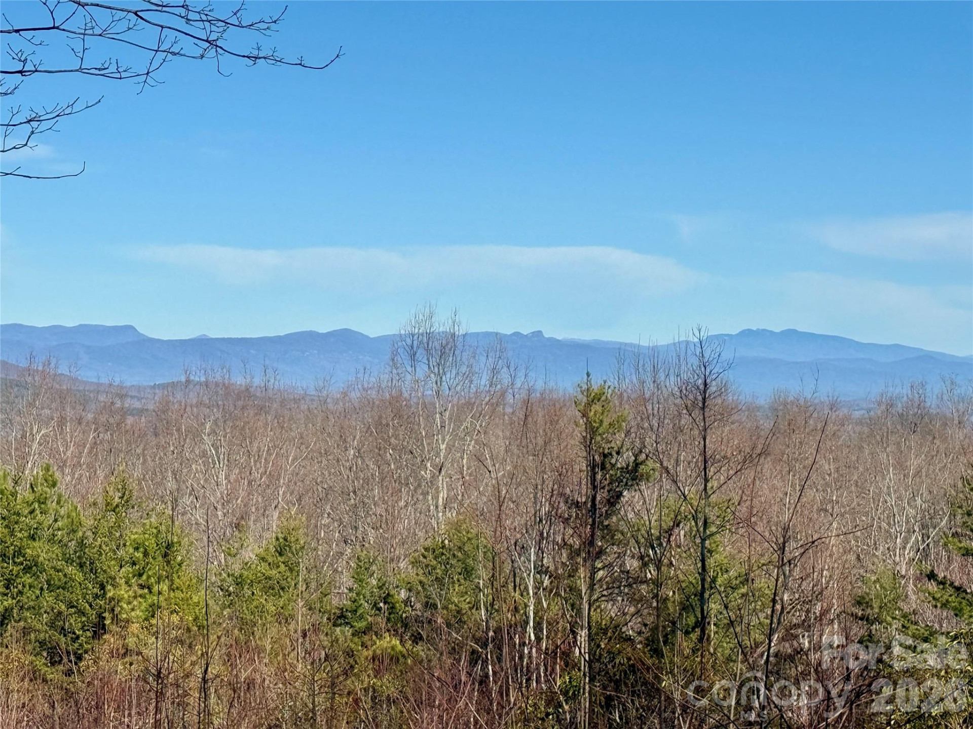 149 Mossy Oak Trail #166/167 - Photo 23