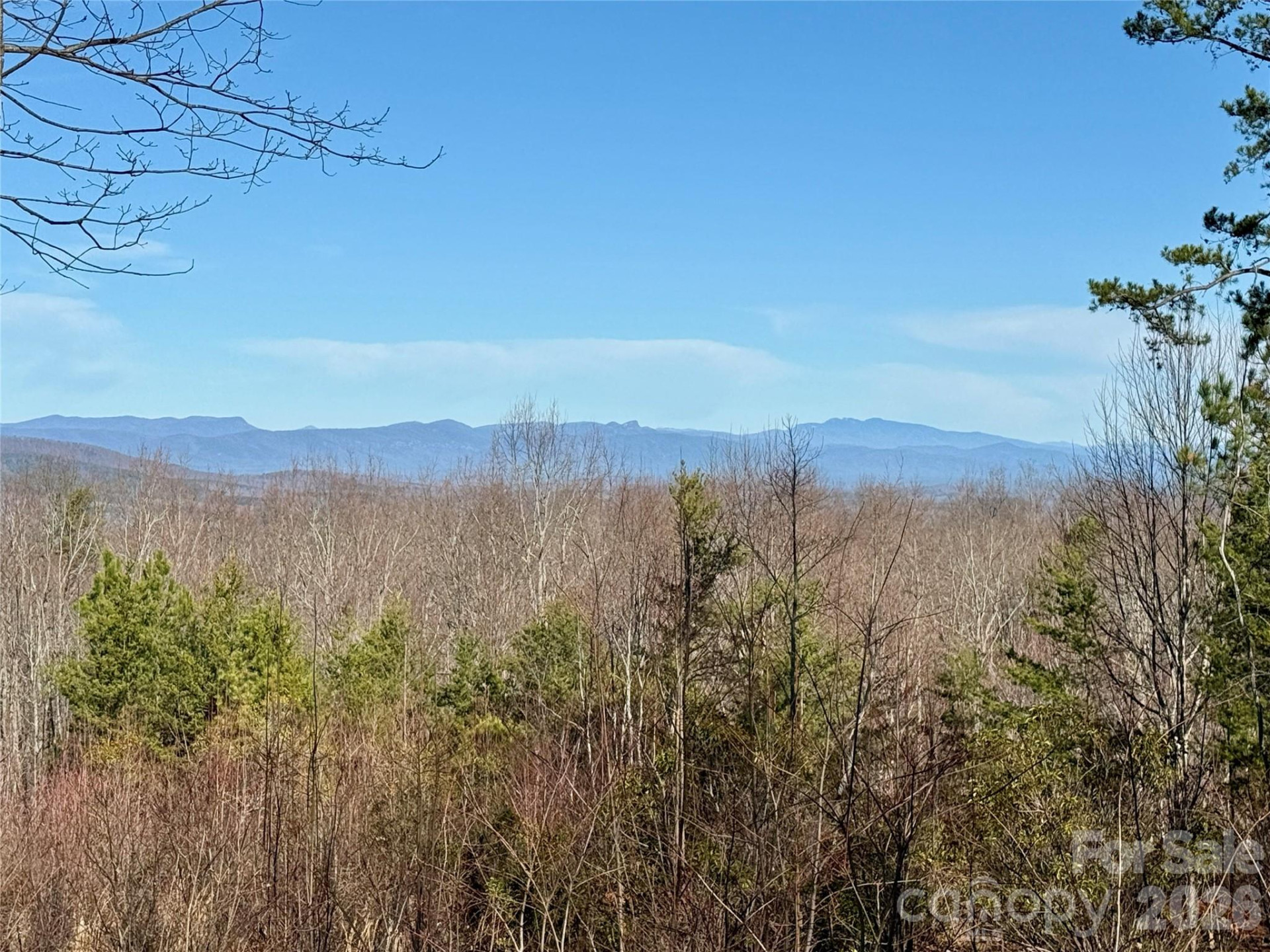 149 Mossy Oak Trail #166/167 - Photo 24