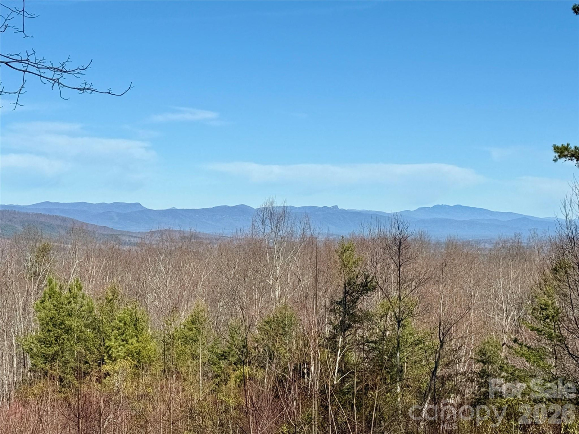149 Mossy Oak Trail #166/167 - Photo 25