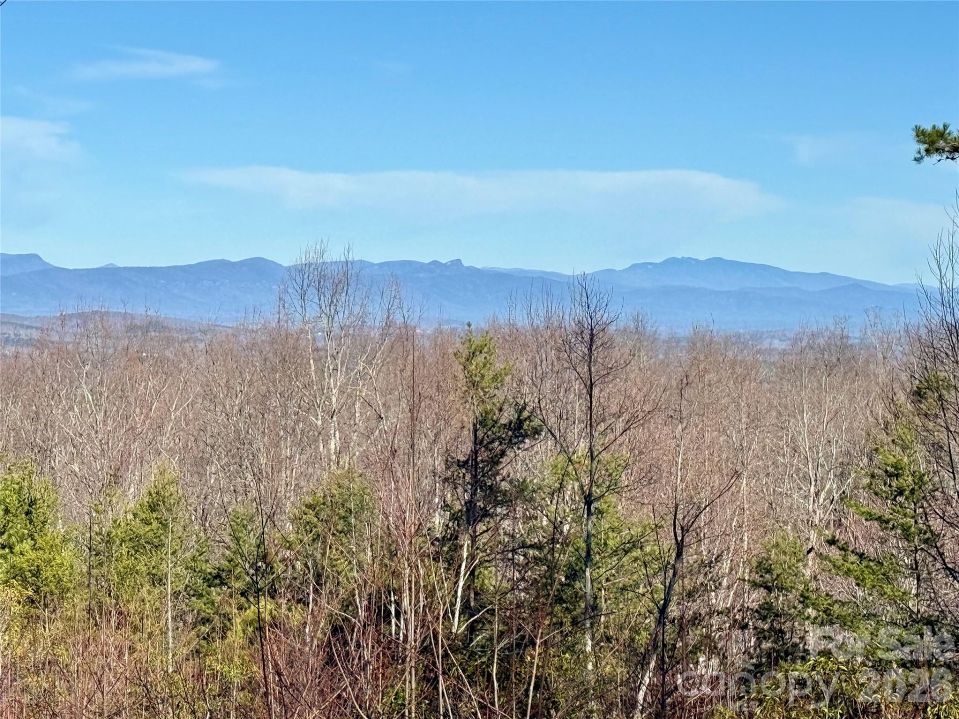 149 Mossy Oak Trail #166/167 - Photo 26