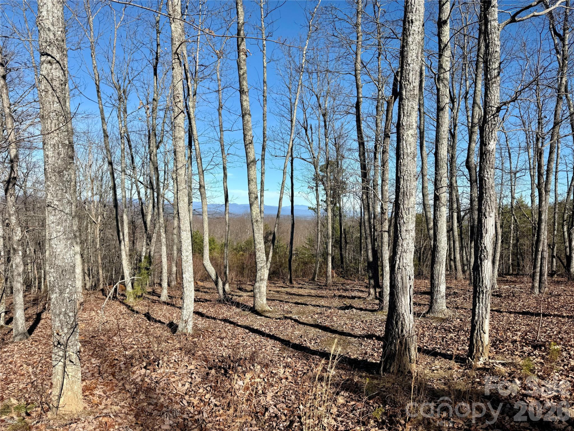 149 Mossy Oak Trail #166/167 - Photo 27