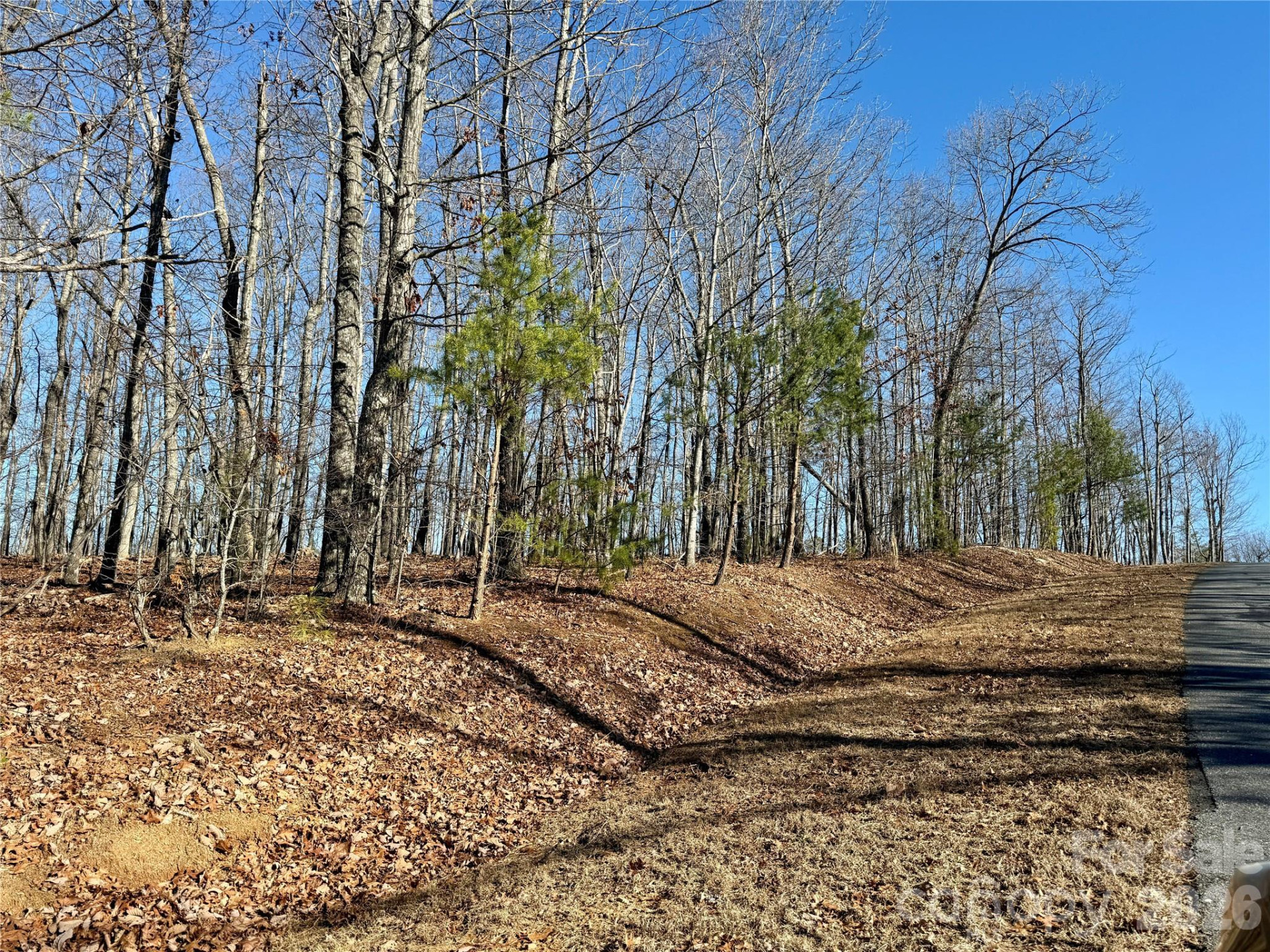 149 Mossy Oak Trail #166/167 - Photo 28