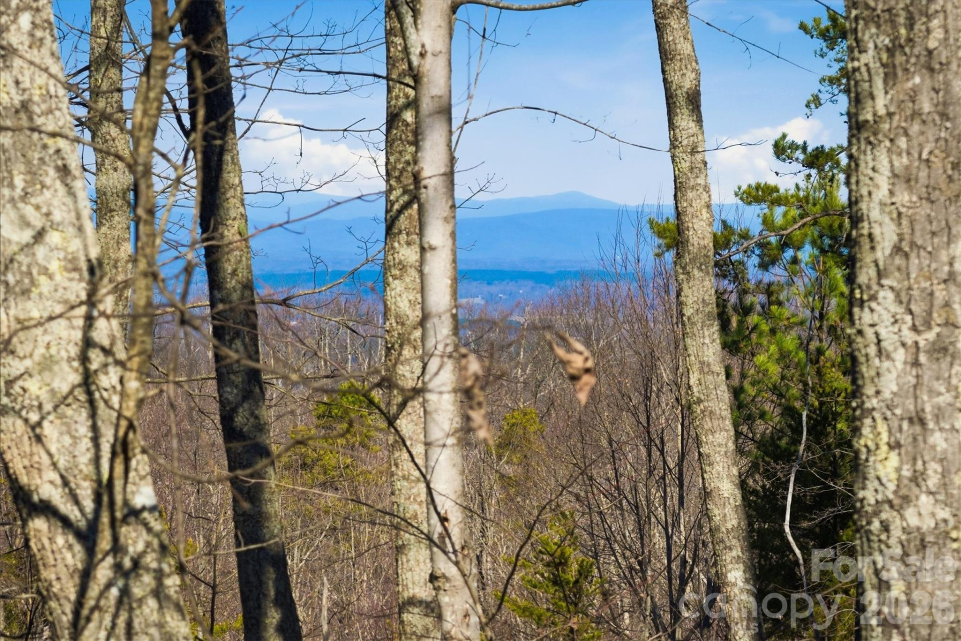 149 Mossy Oak Trail #166/167 - Photo 8