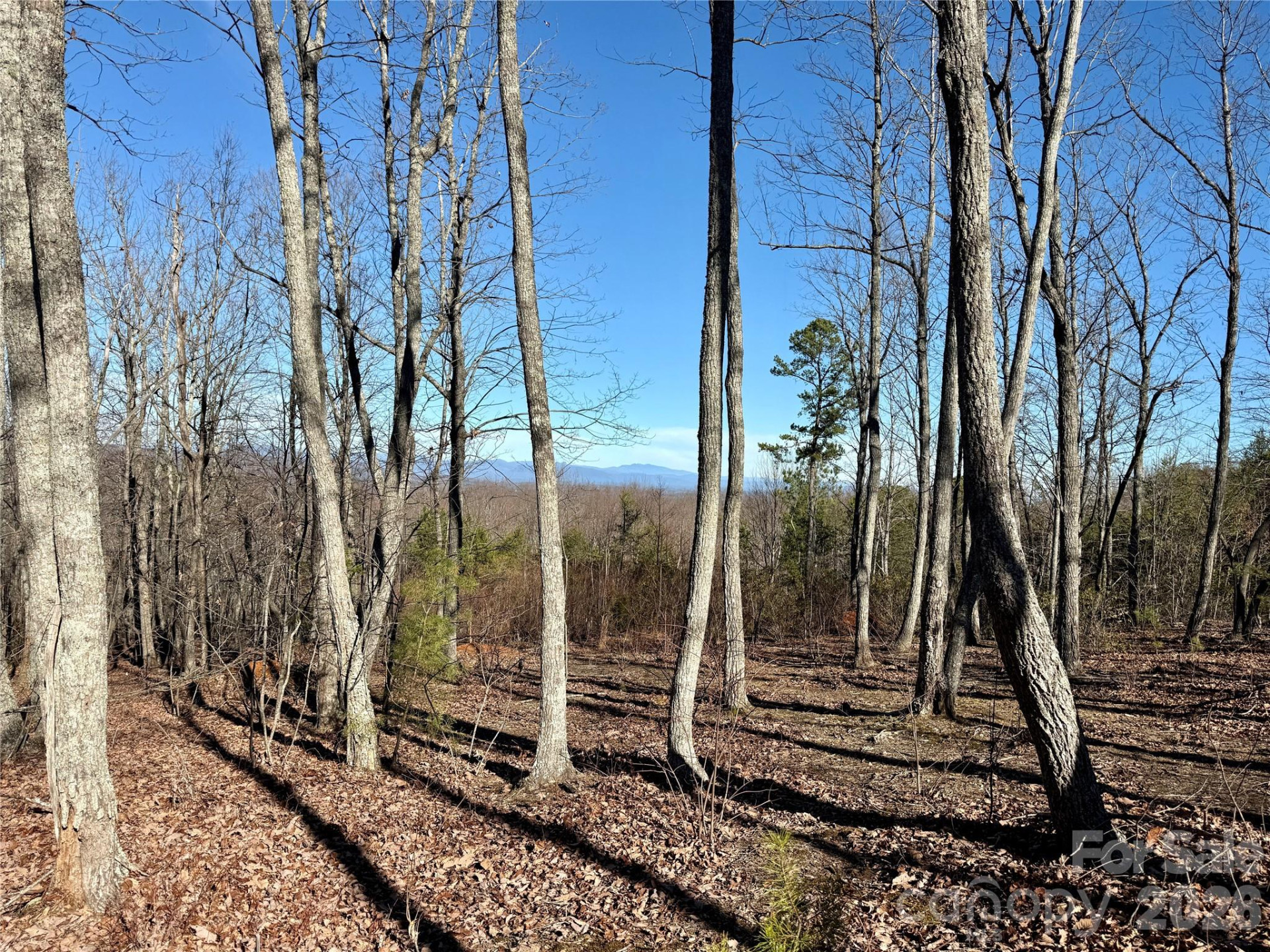 149 Mossy Oak Trail #166/167 - Photo 10