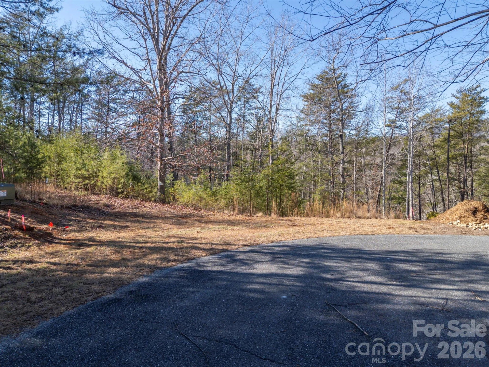 000 Indian Summer Lane #4 - Photo 12