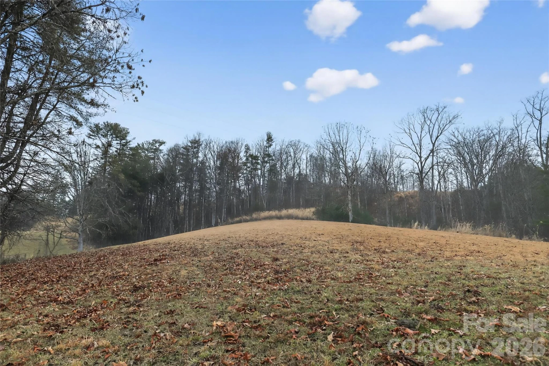 284 Paul Gosnell Road - Photo 3