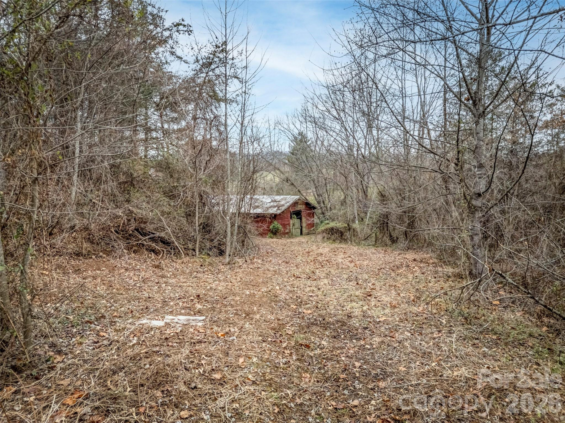 896 Newfound Road - Photo 14
