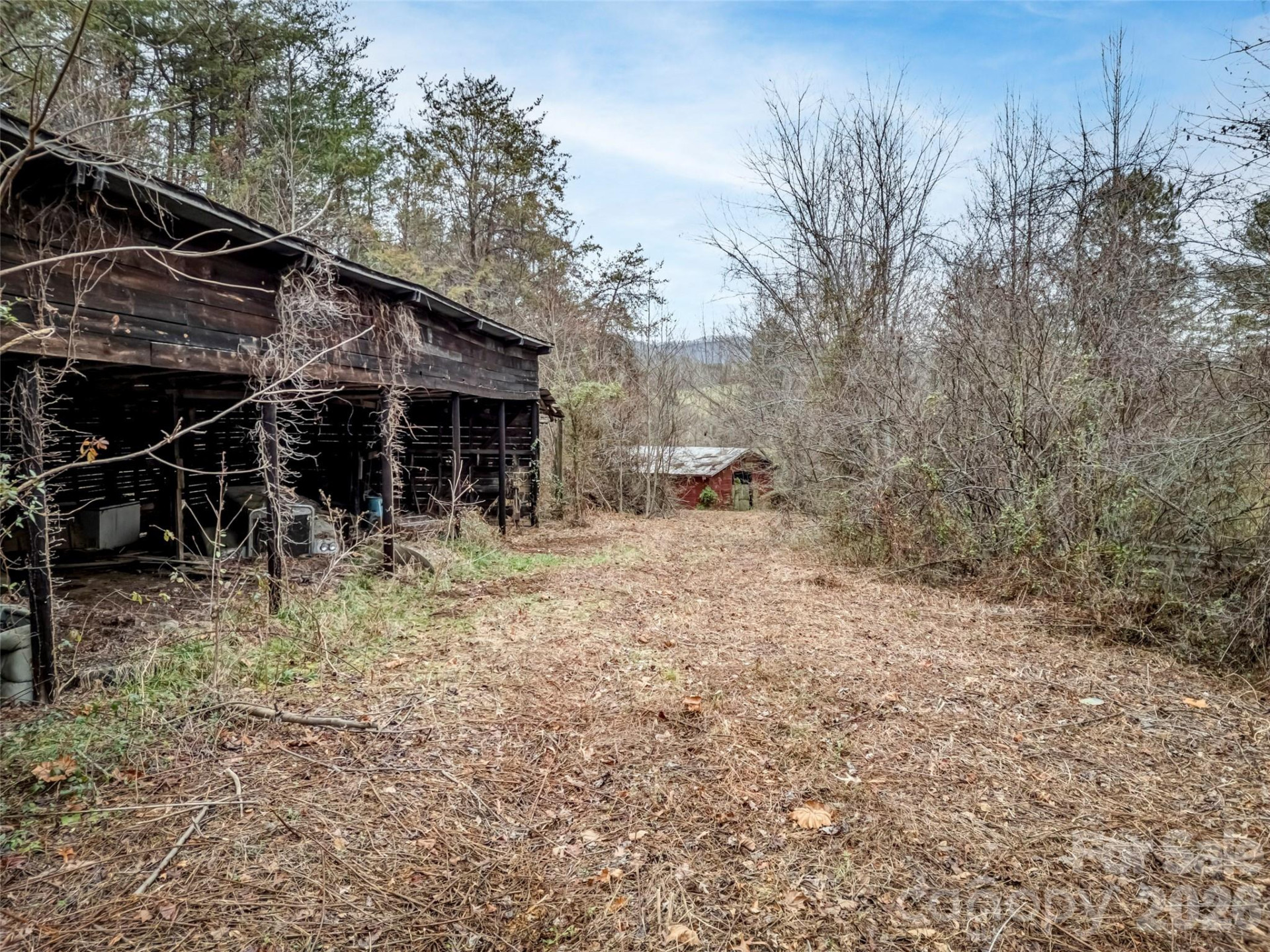 896 Newfound Road - Photo 16