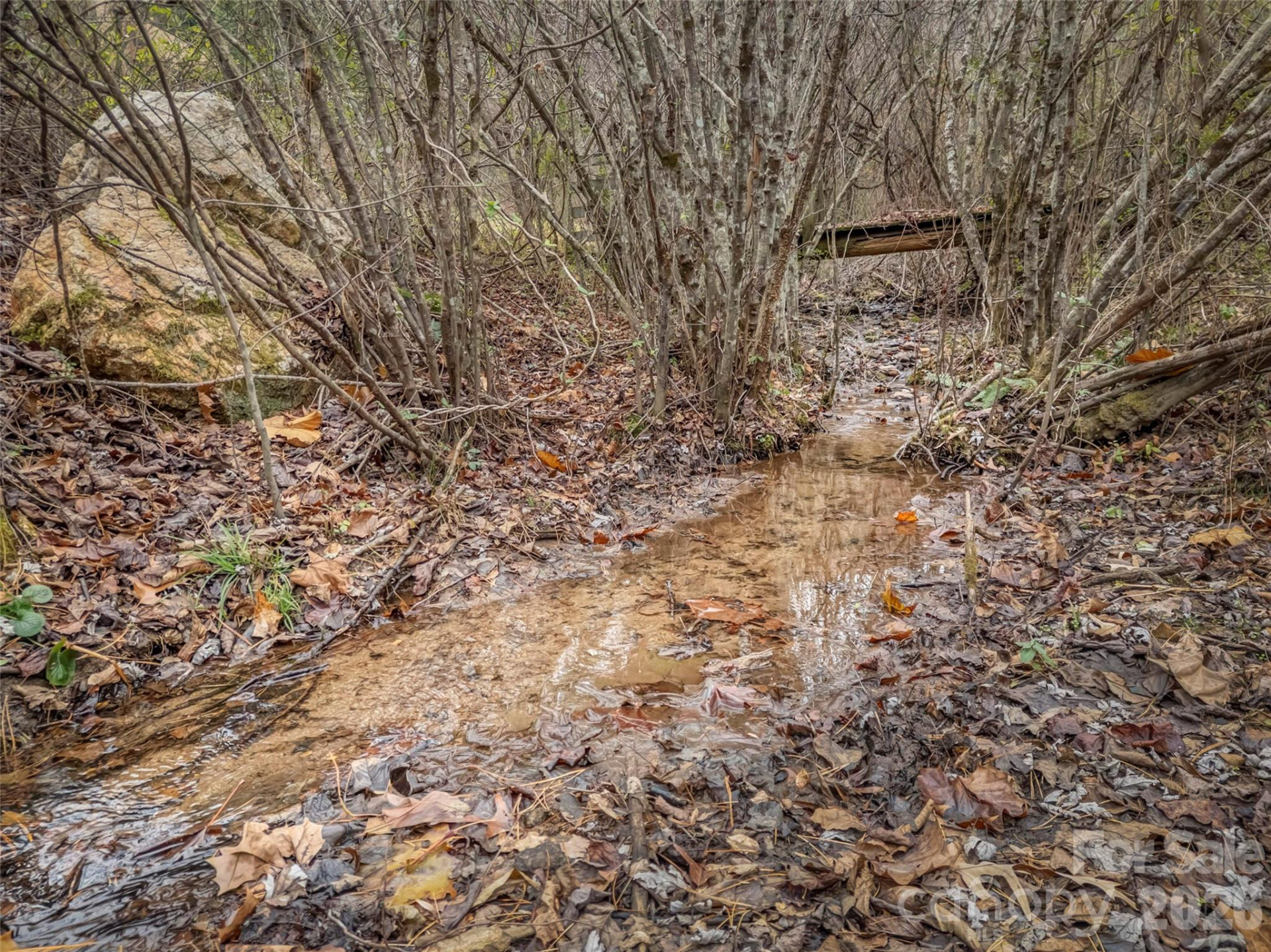 896 Newfound Road - Photo 19