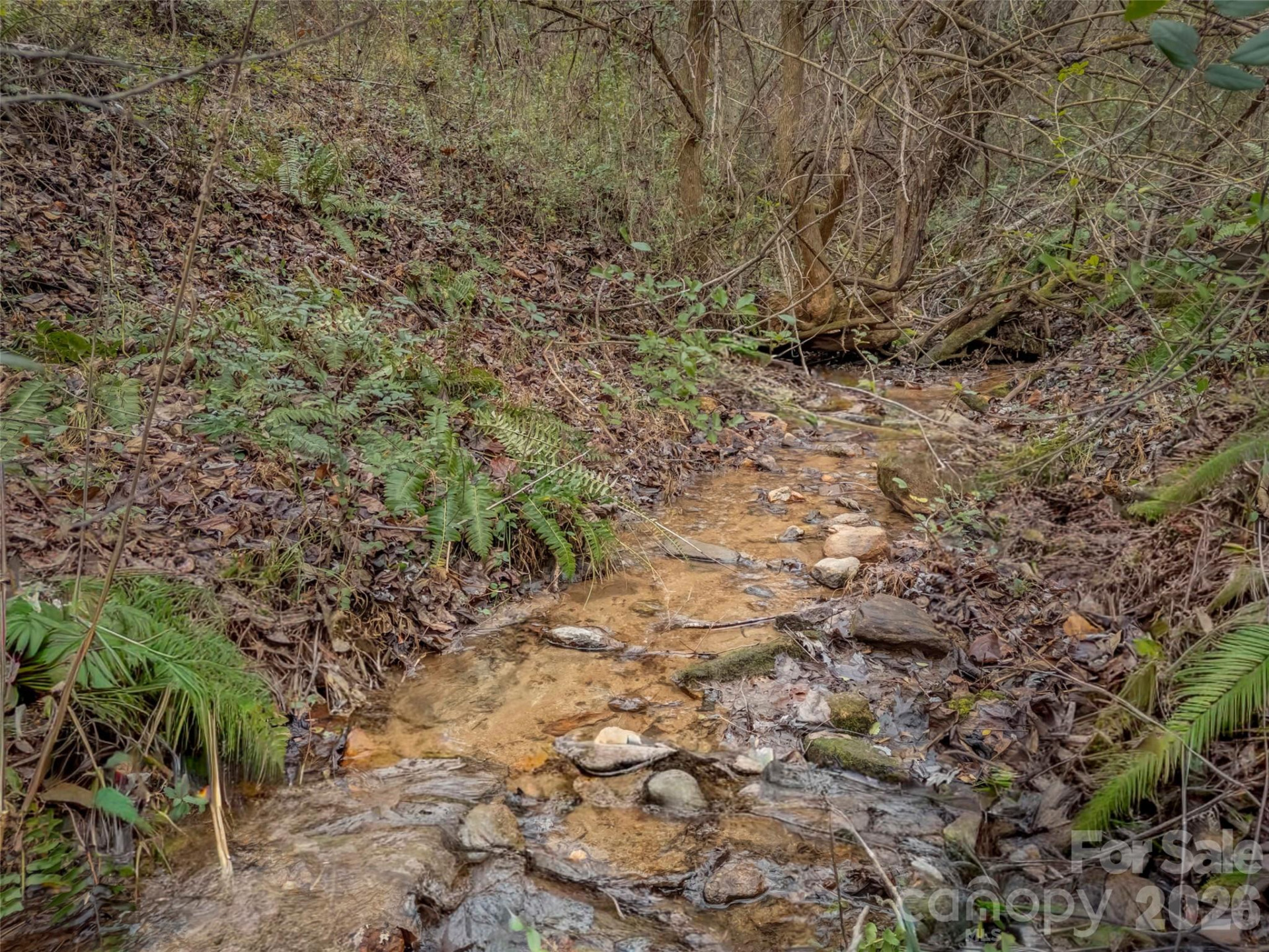 896 Newfound Road - Photo 20