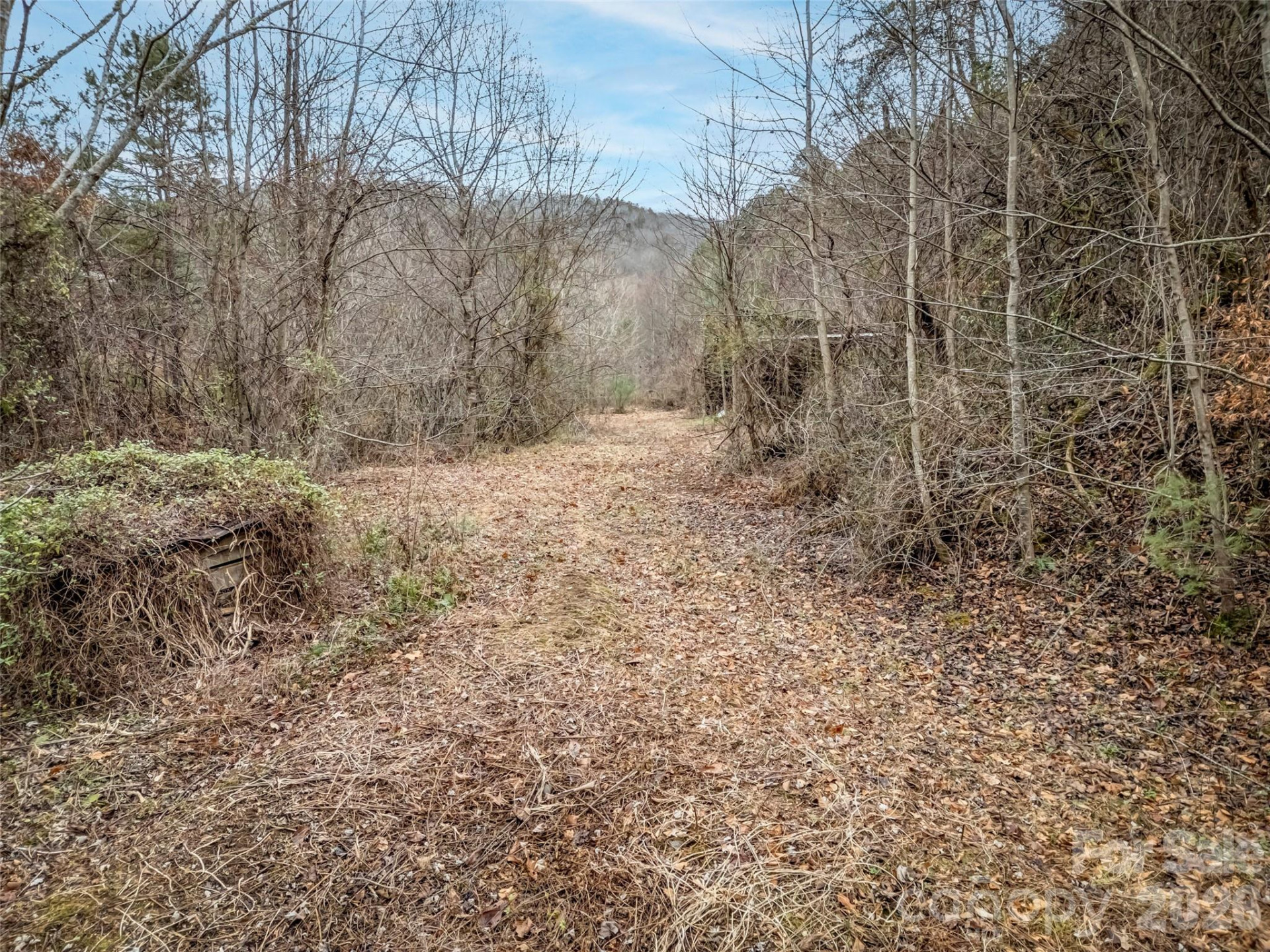 896 Newfound Road - Photo 5