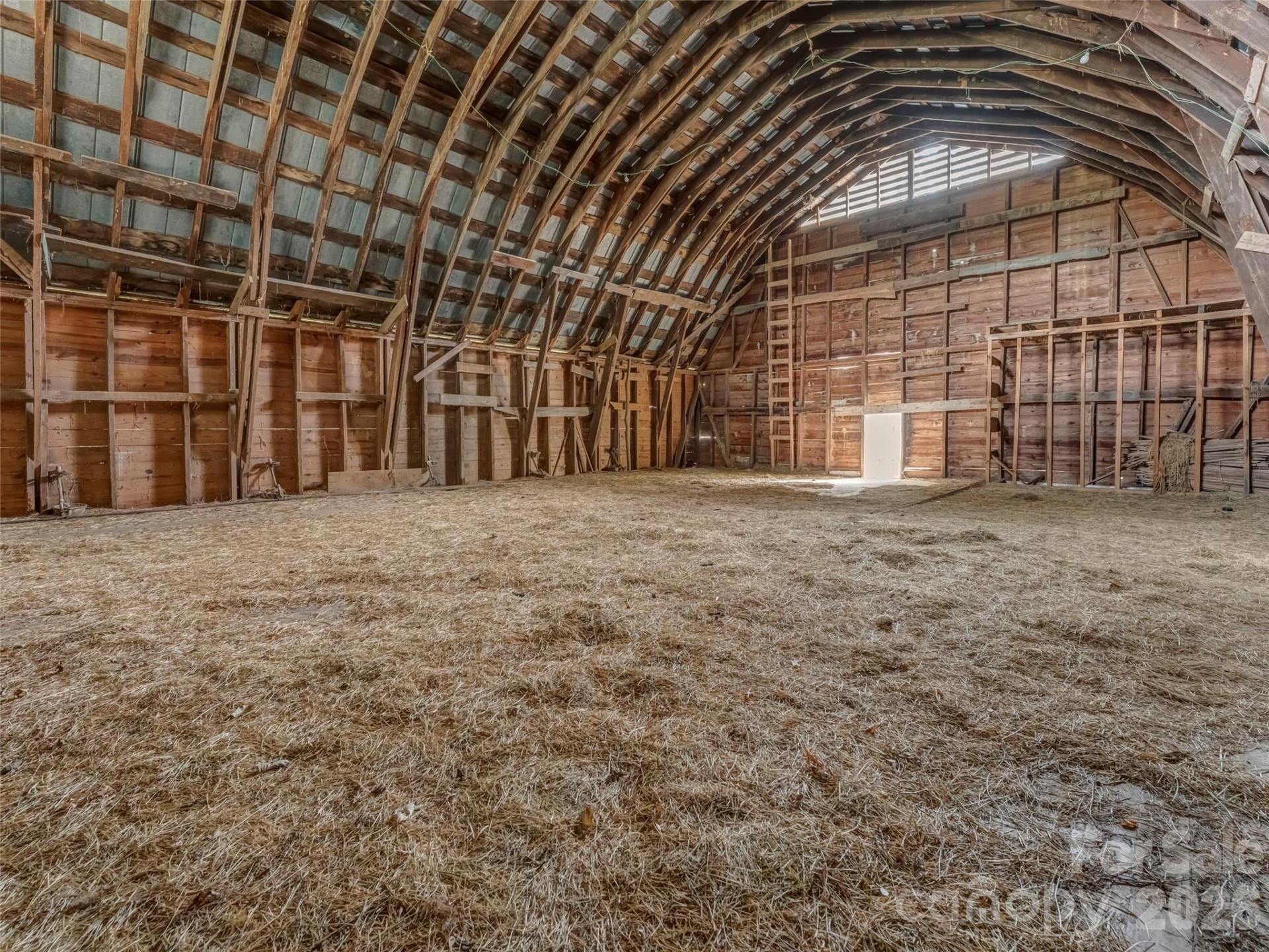 896 Newfound Road - Photo 6