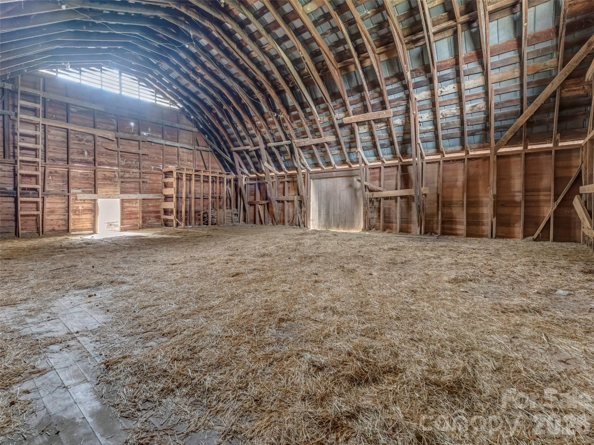 896 Newfound Road - Photo 8