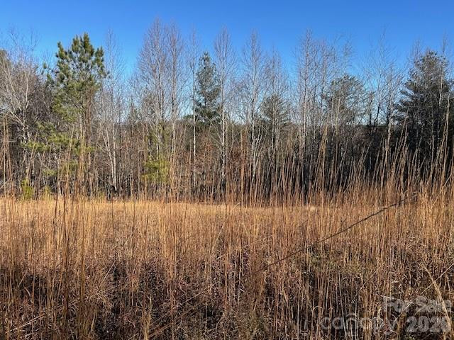 0 Hope Drive - Photo 2