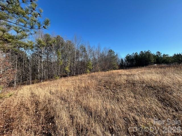 0 Hope Drive - Photo 3