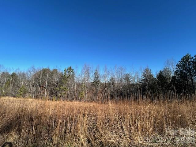 0 Hope Drive - Photo 4