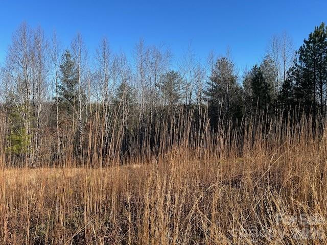 0 Hope Drive - Photo 5