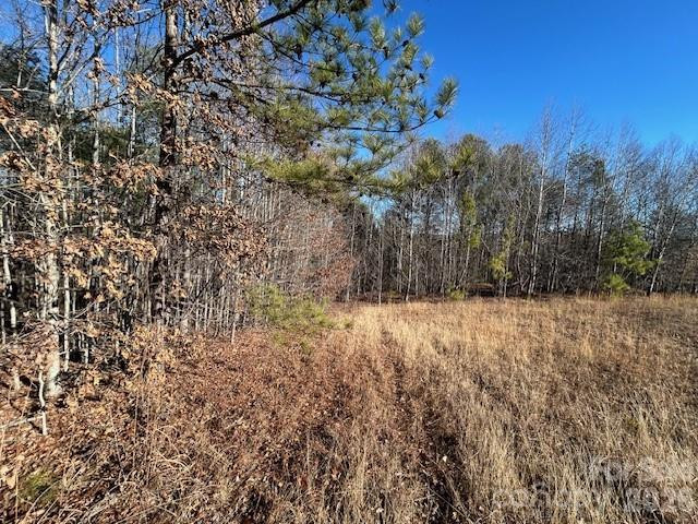 0 Hope Drive - Photo 6