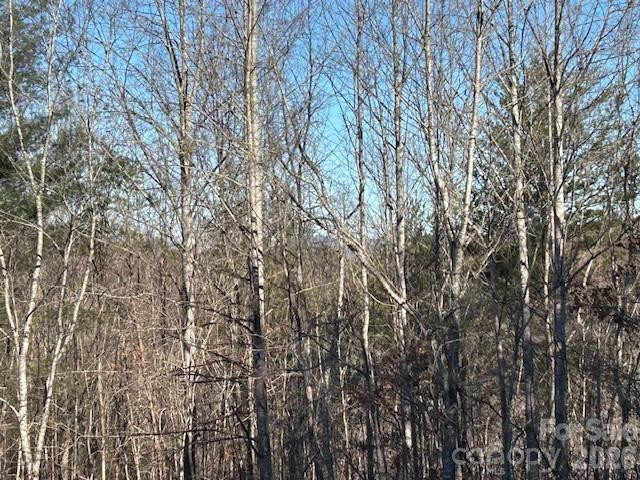 0 Hope Drive - Photo 7