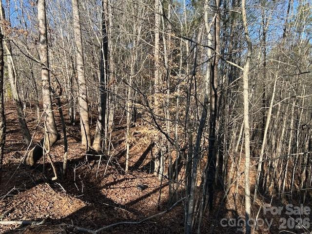 0 Hope Drive - Photo 8