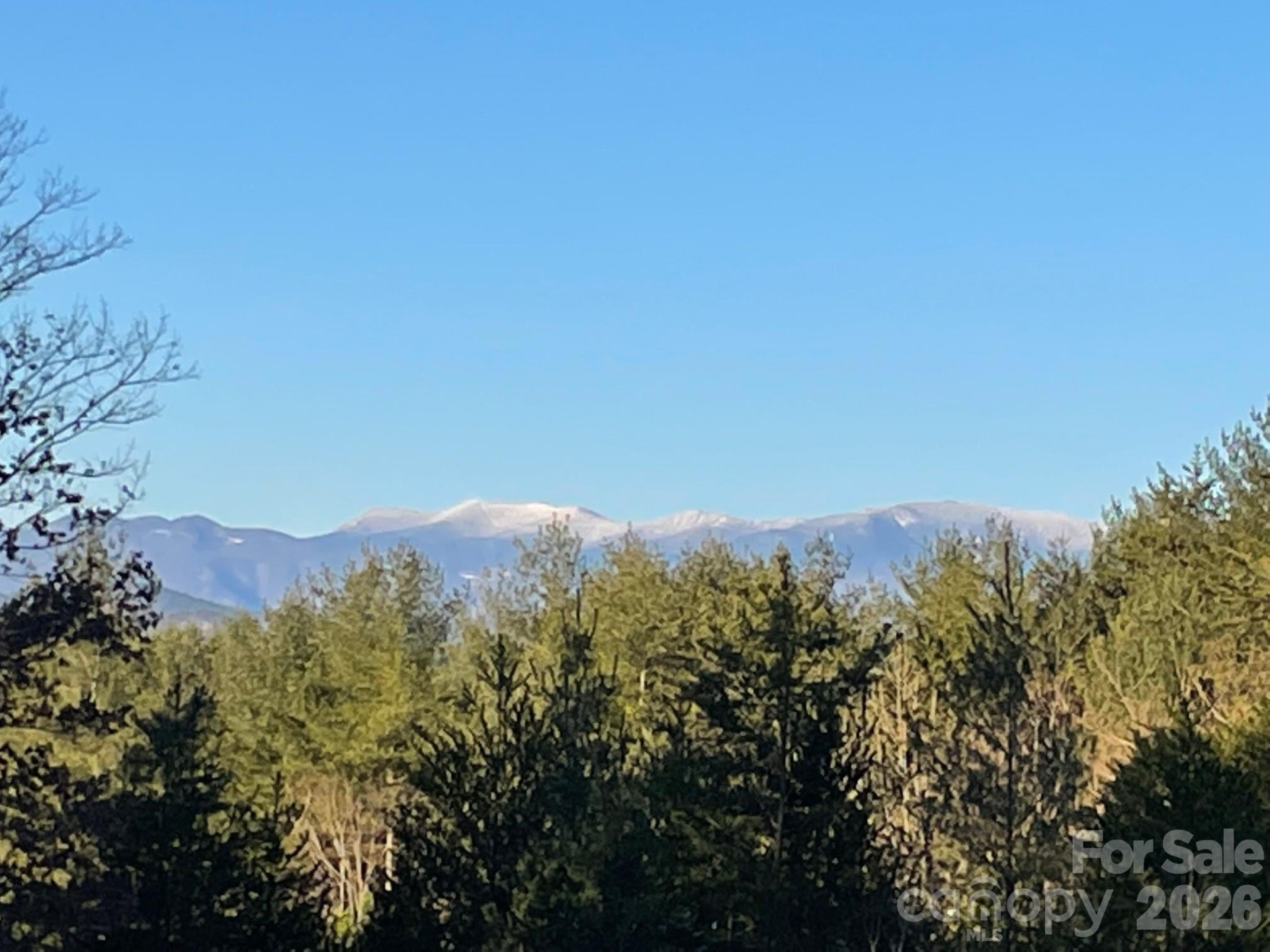 1267 Ten Whigs Ridge - Photo 44