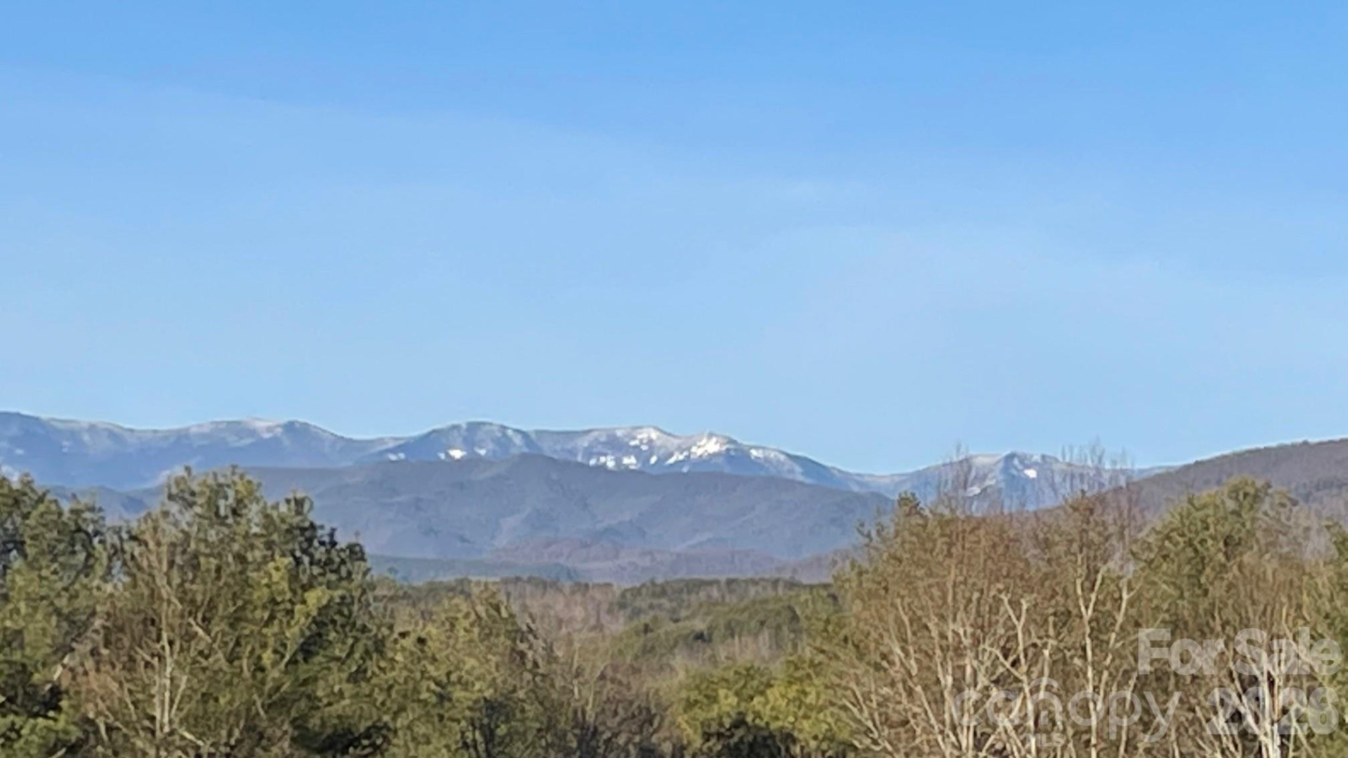 1267 Ten Whigs Ridge - Photo 45