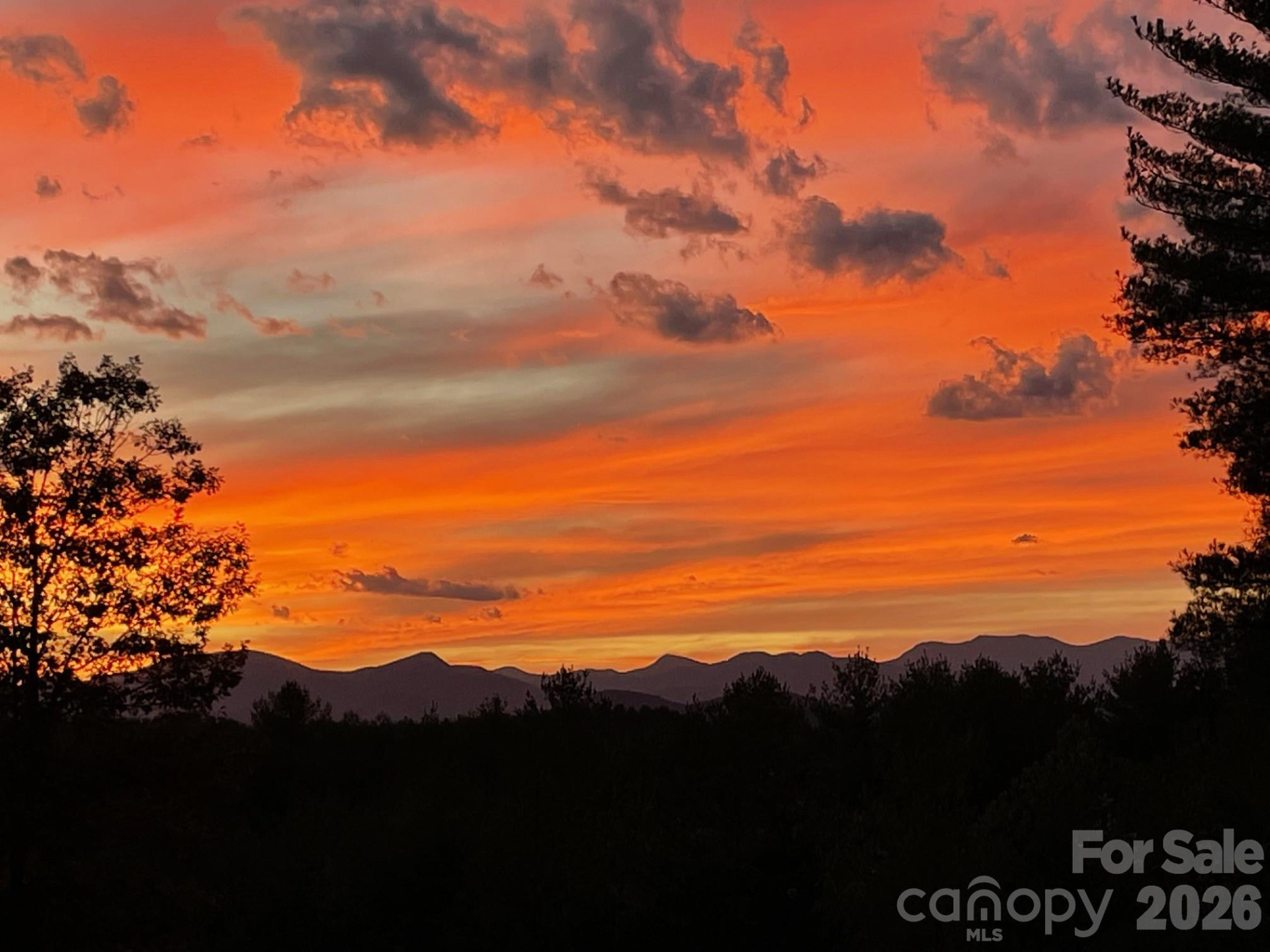 1267 Ten Whigs Ridge - Photo 46